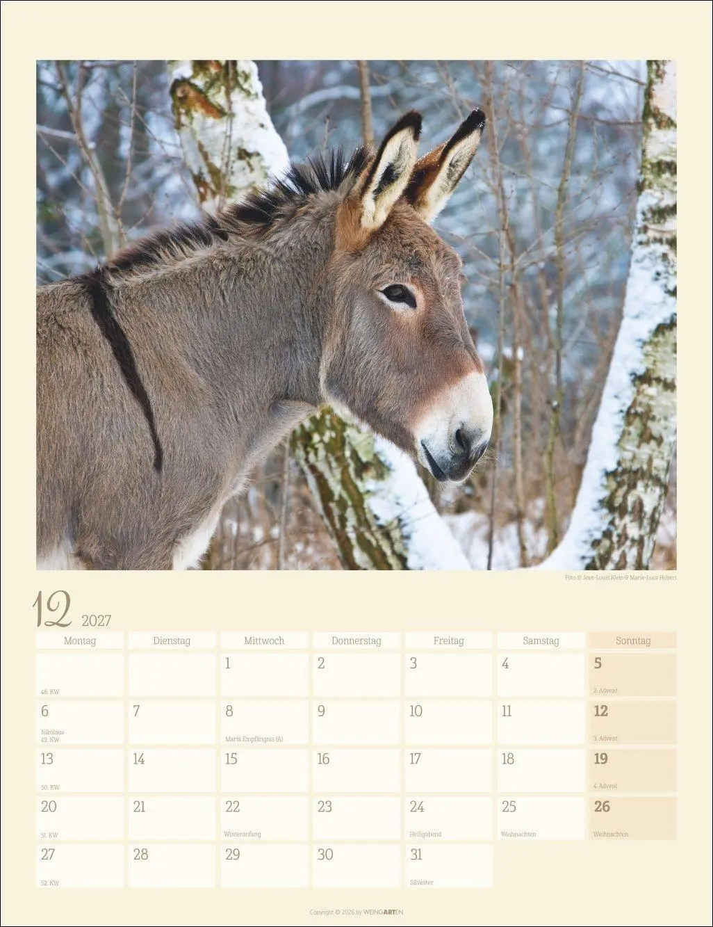Bild: 9783839903667 | Esel Kalender 2027 | Marie-Luce Hubert | Kalender | Spiralbindung