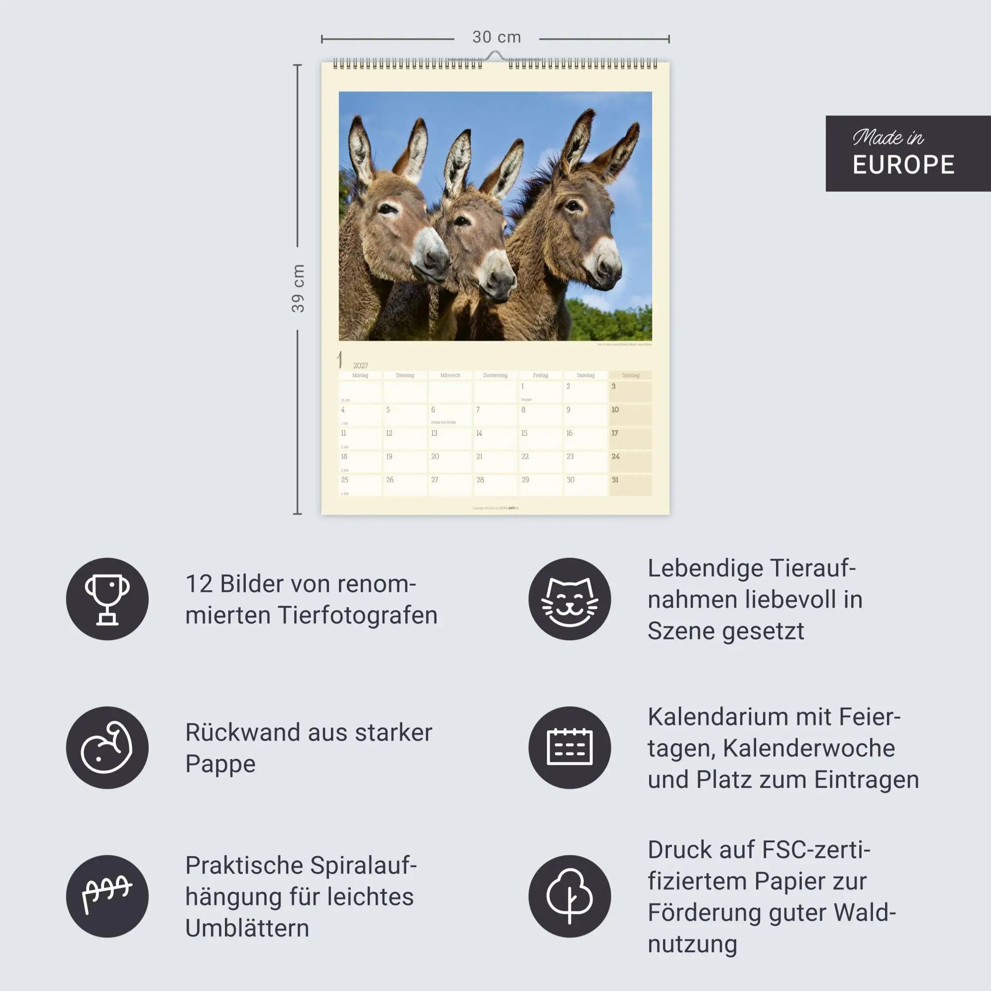 Bild: 9783839903667 | Esel Kalender 2027 | Marie-Luce Hubert | Kalender | Spiralbindung