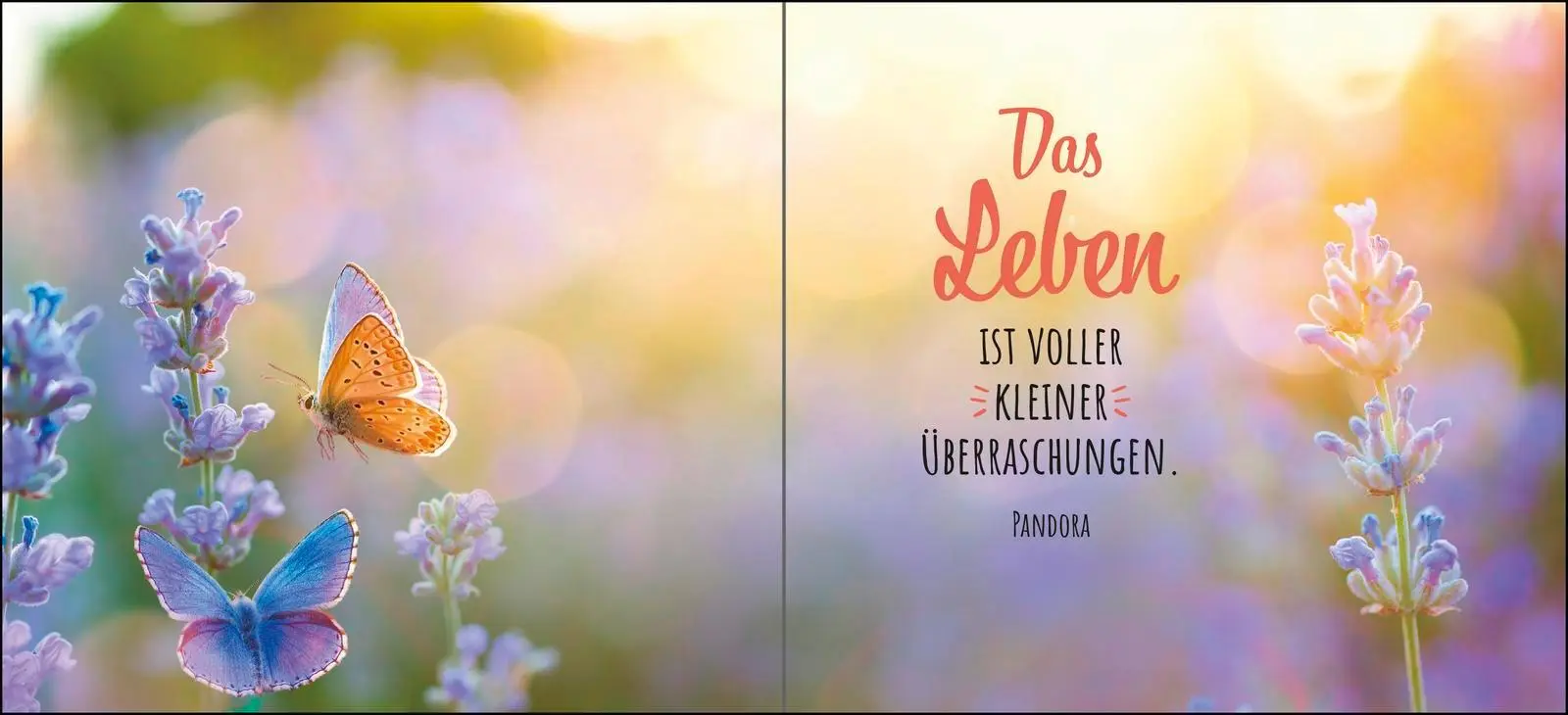 Bild: 9783848503667 | Ich schenke dir ein Stück vom Glück | Julia Buck | Buch | 48 S. | 2025