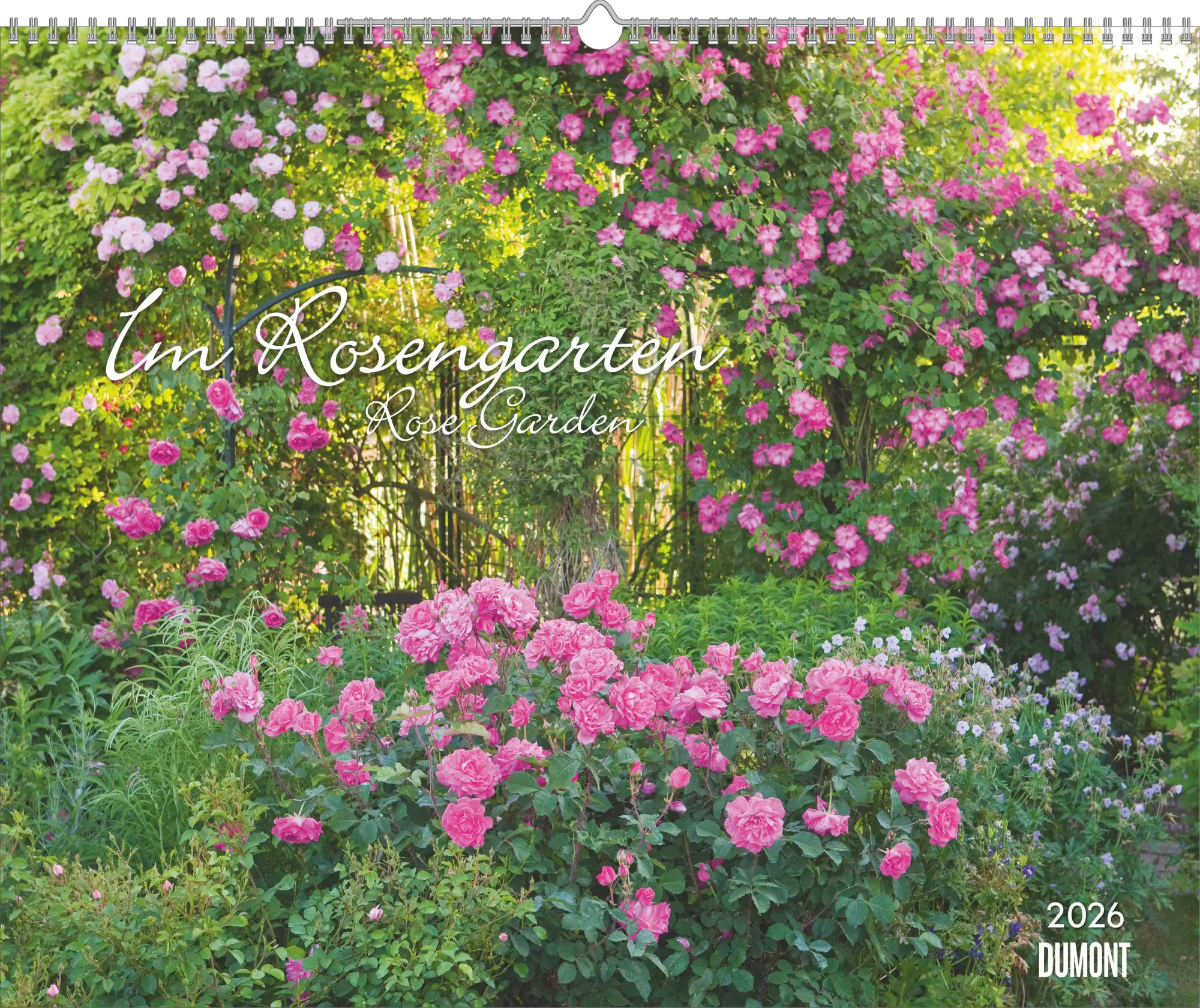 Cover: 4069095003767 | Im Rosengarten 2026 DUMONT Garten-Kal. Querformat 52 x 42,5 | Kalender