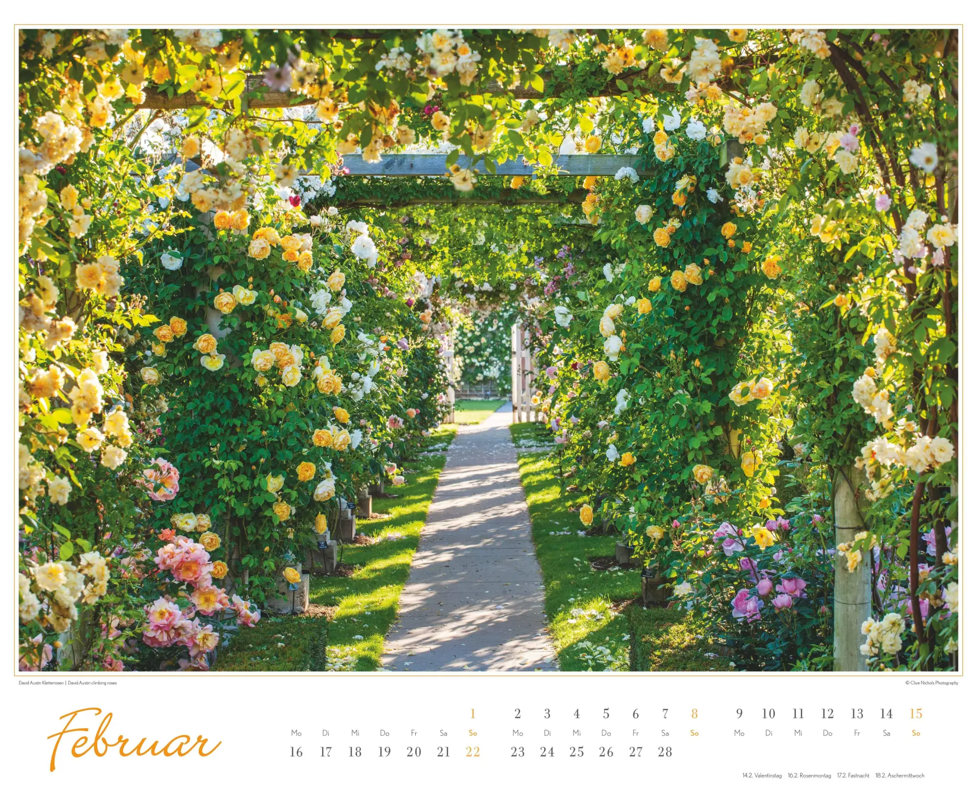 Bild: 4069095003767 | Im Rosengarten 2026 DUMONT Garten-Kal. Querformat 52 x 42,5 | Kalender