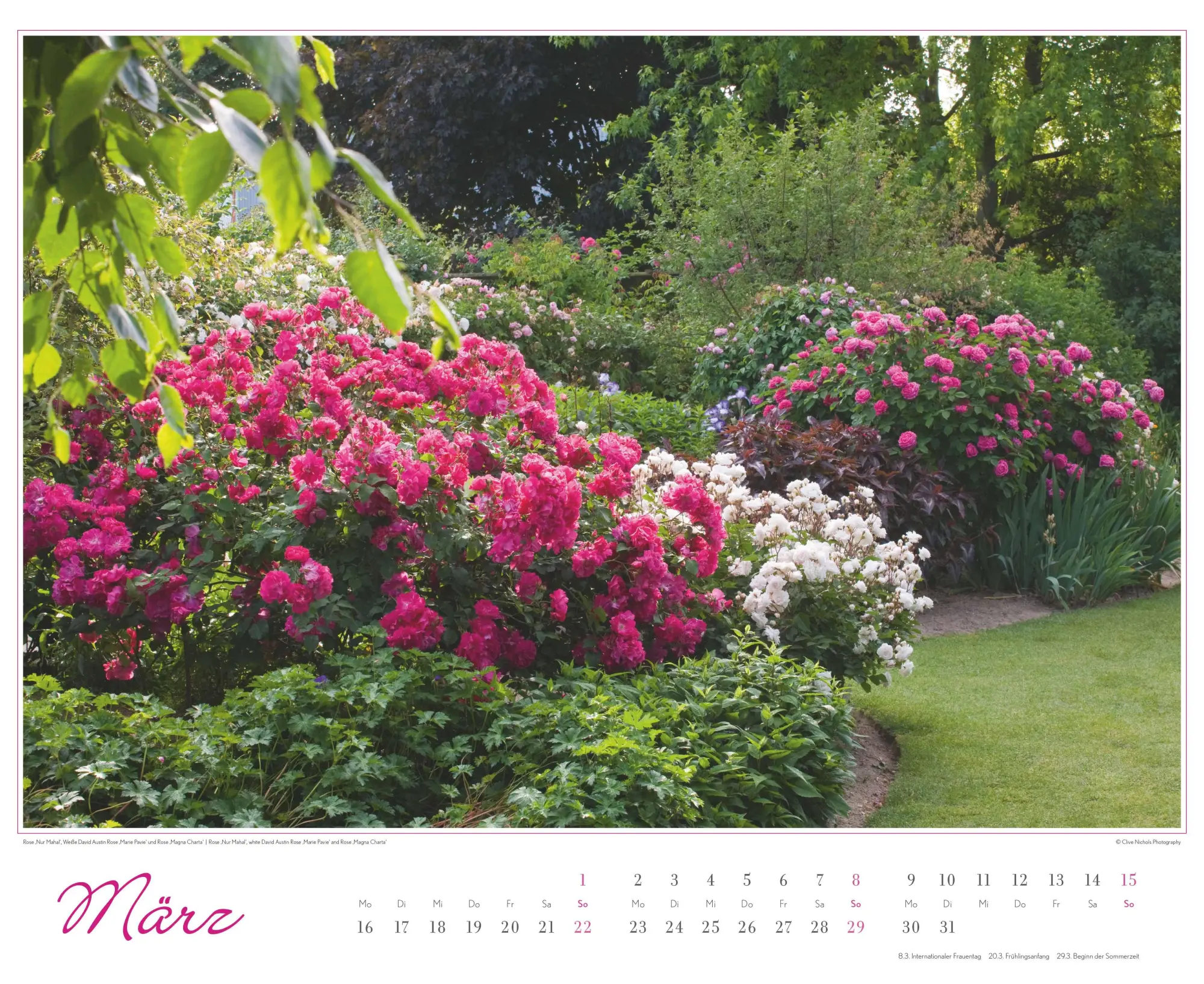 Bild: 4069095003767 | Im Rosengarten 2026 DUMONT Garten-Kal. Querformat 52 x 42,5 | Kalender