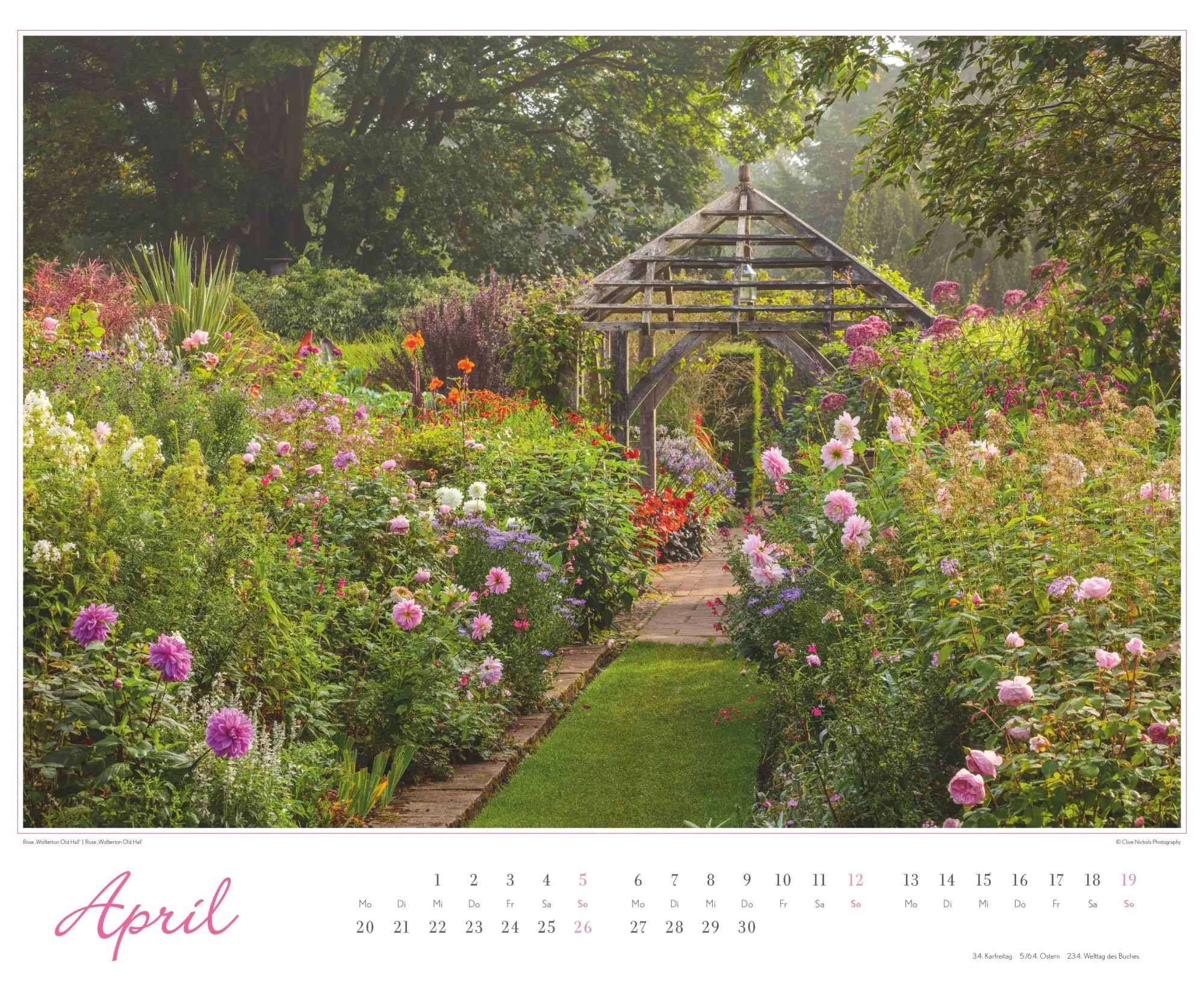 Bild: 4069095003767 | Im Rosengarten 2026 DUMONT Garten-Kal. Querformat 52 x 42,5 | Kalender
