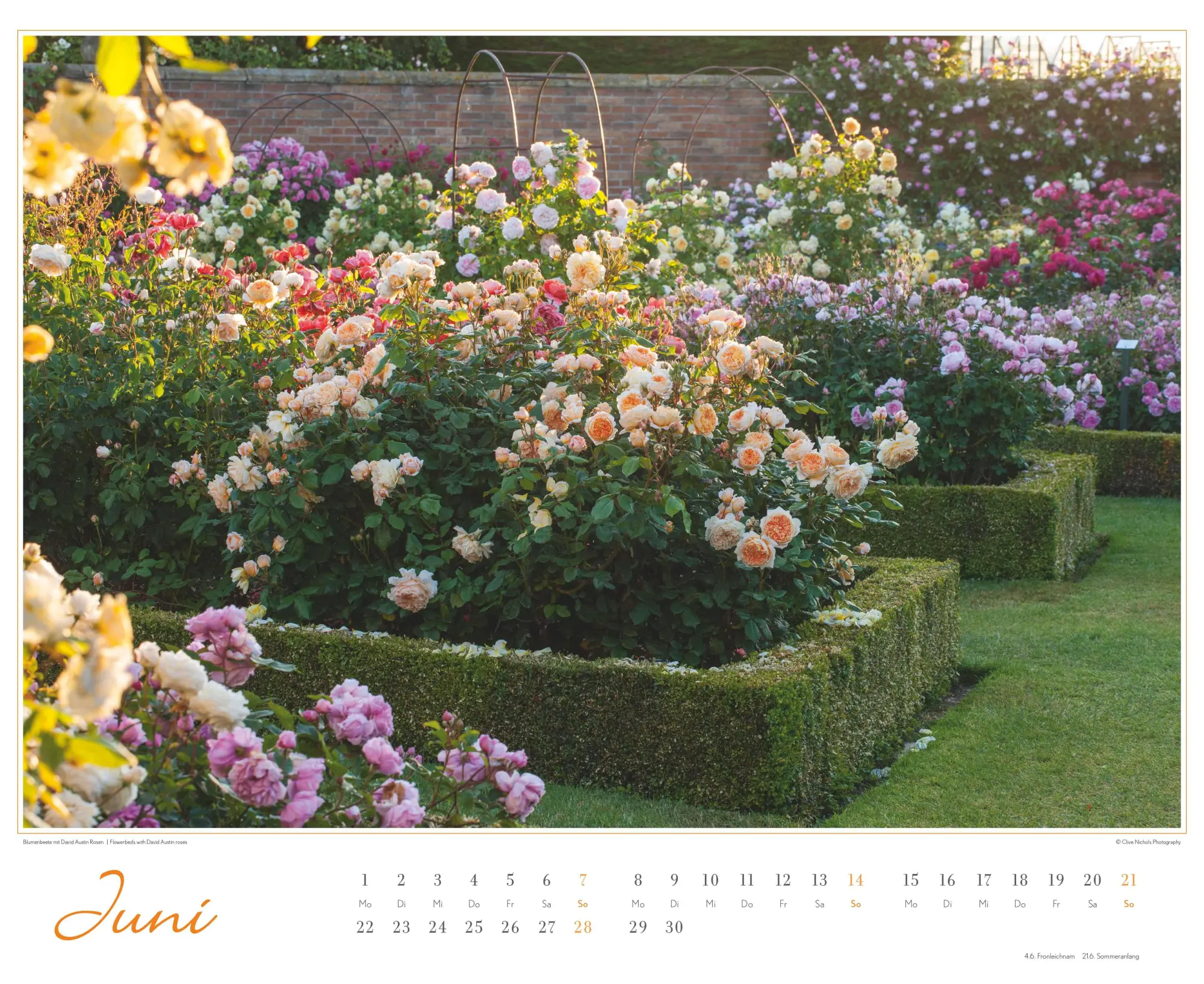 Bild: 4069095003767 | Im Rosengarten 2026 DUMONT Garten-Kal. Querformat 52 x 42,5 | Kalender
