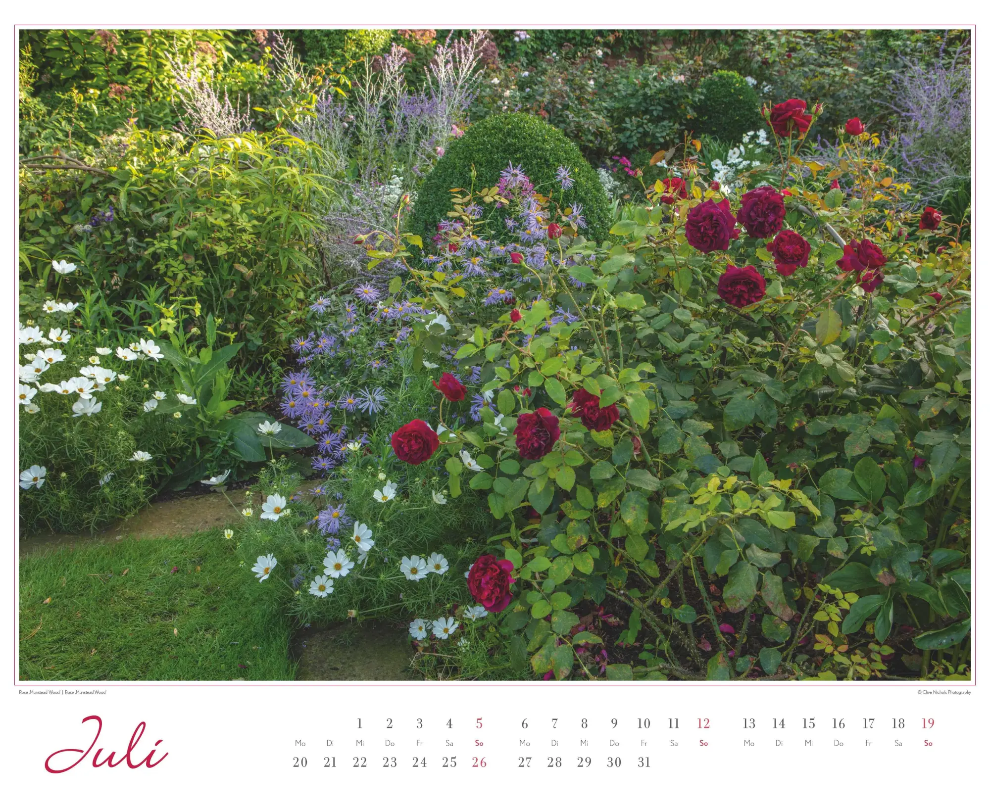 Bild: 4069095003767 | Im Rosengarten 2026 DUMONT Garten-Kal. Querformat 52 x 42,5 | Kalender