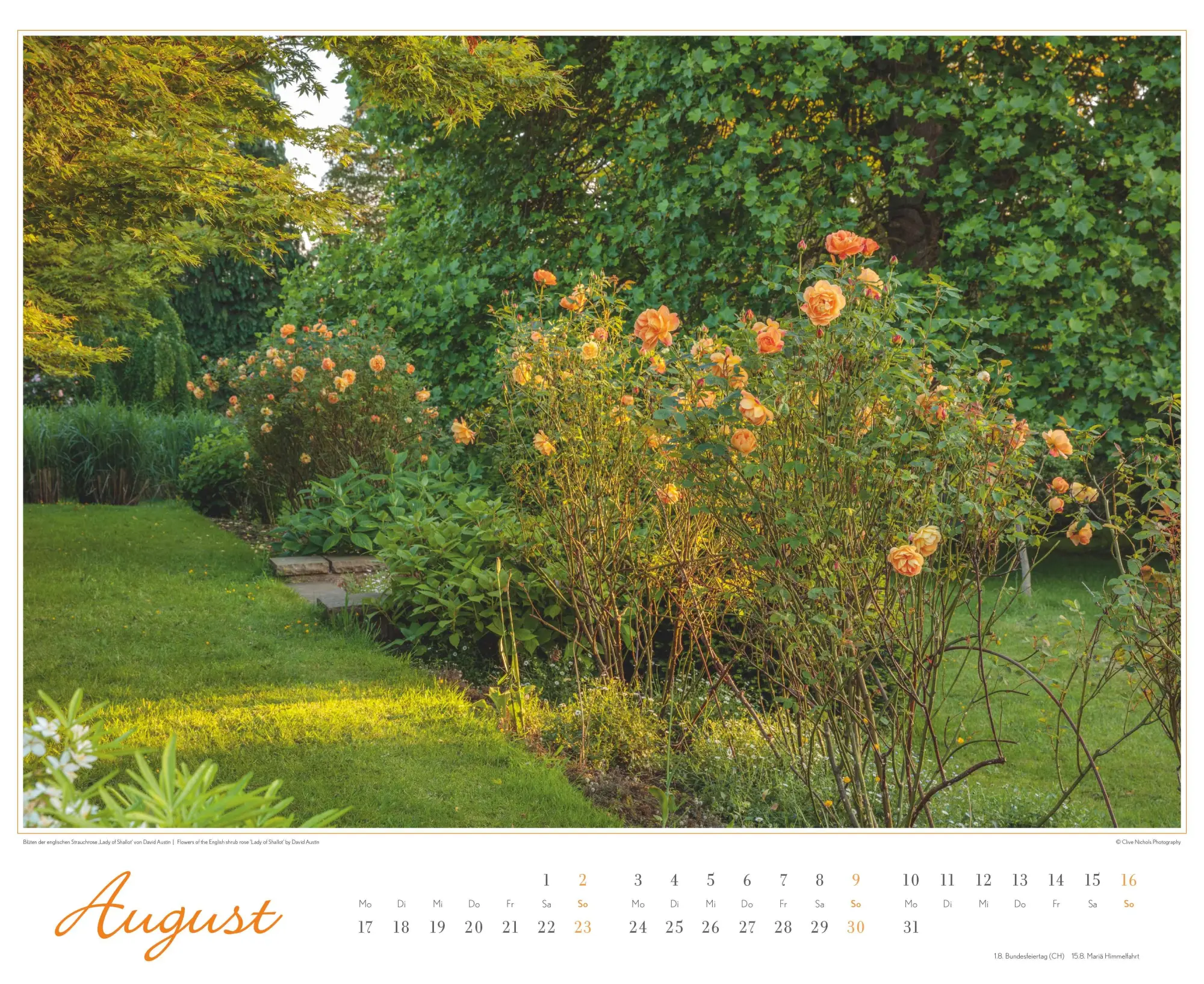 Bild: 4069095003767 | Im Rosengarten 2026 DUMONT Garten-Kal. Querformat 52 x 42,5 | Kalender