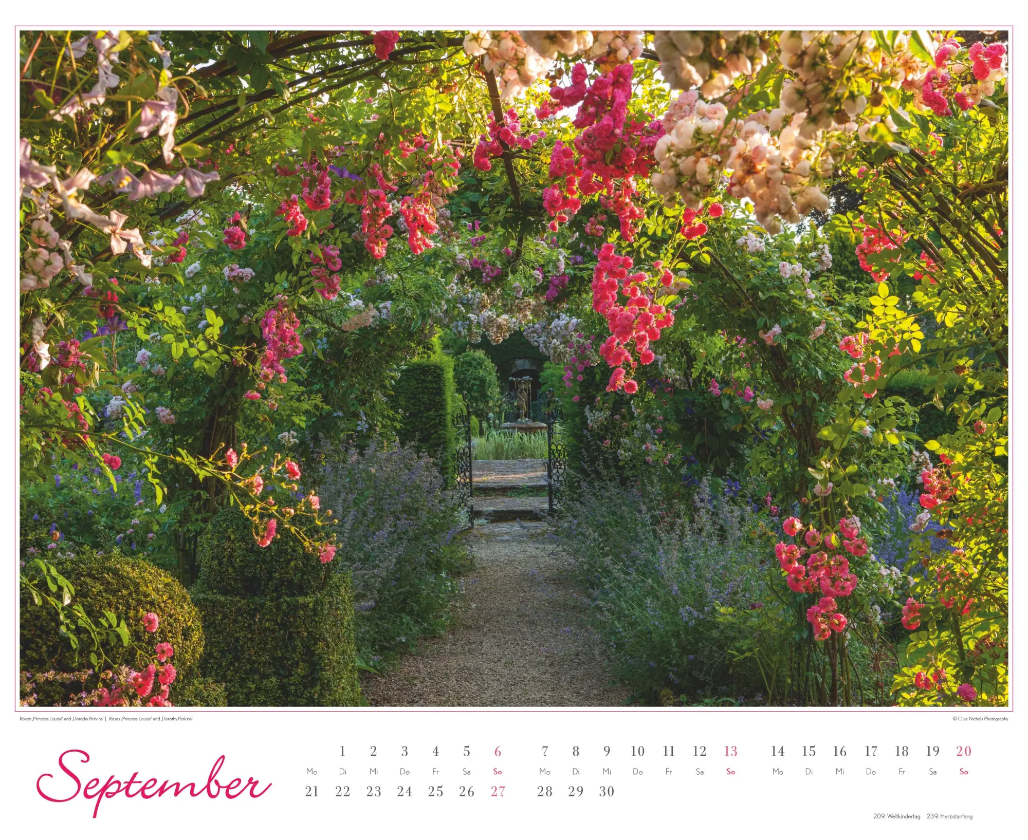Bild: 4069095003767 | Im Rosengarten 2026 DUMONT Garten-Kal. Querformat 52 x 42,5 | Kalender