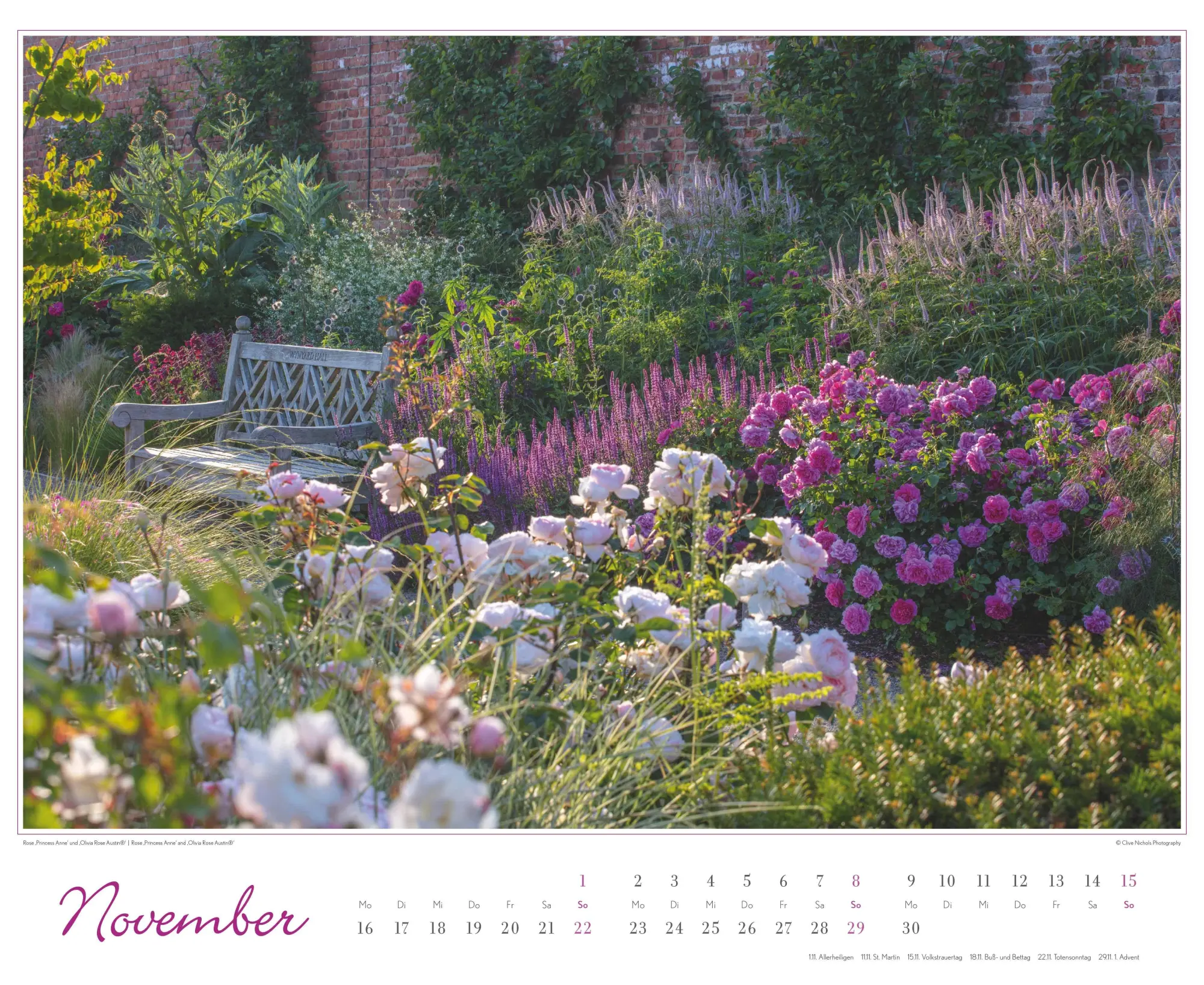 Bild: 4069095003767 | Im Rosengarten 2026 DUMONT Garten-Kal. Querformat 52 x 42,5 | Kalender