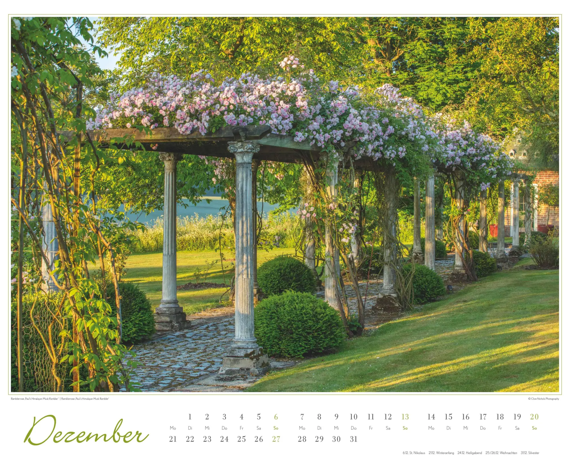 Bild: 4069095003767 | Im Rosengarten 2026 DUMONT Garten-Kal. Querformat 52 x 42,5 | Kalender