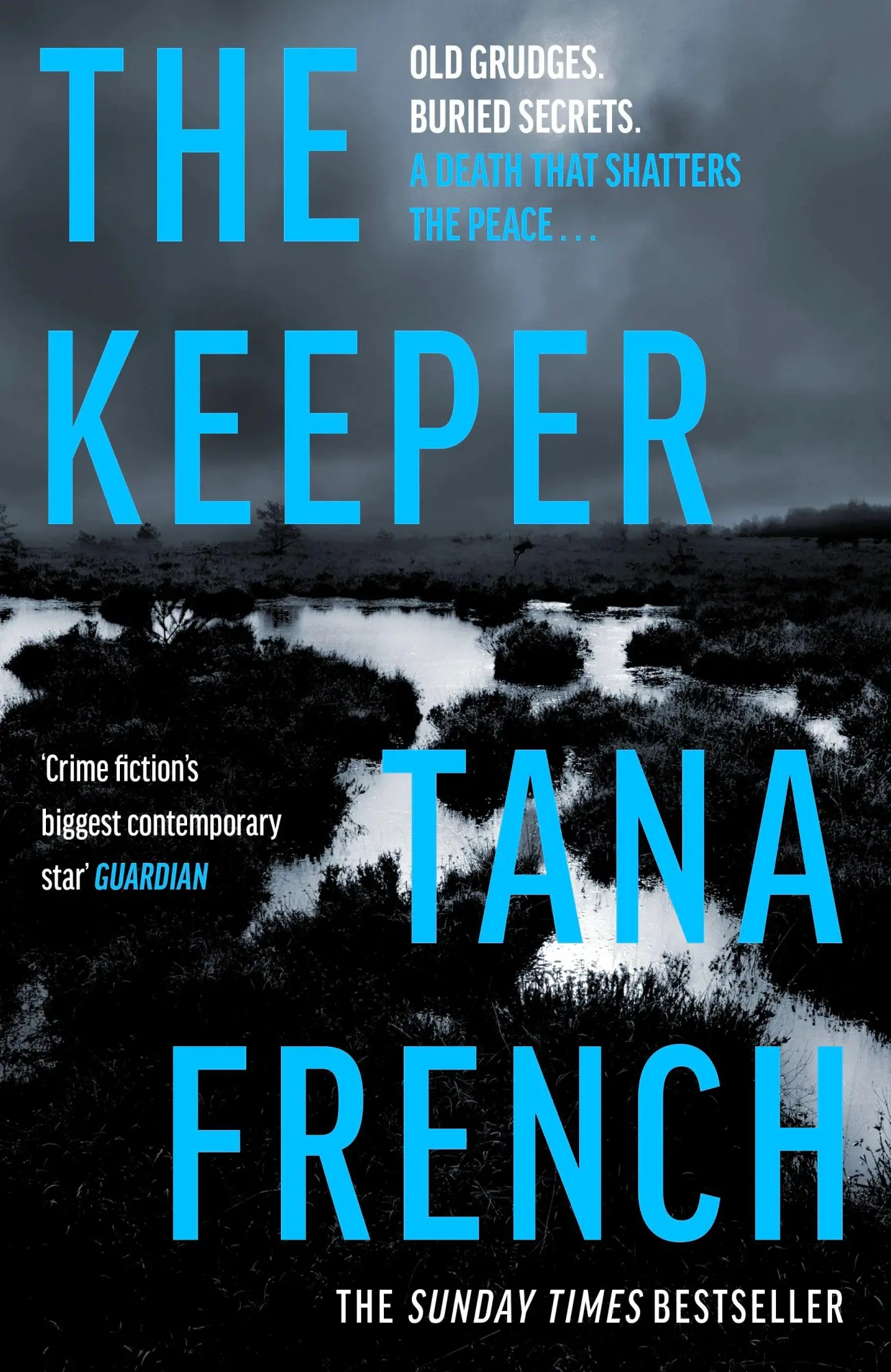 Cover: 9780241823767 | The Keeper | Tana French | Buch | Englisch | 2026 | Penguin Books Ltd