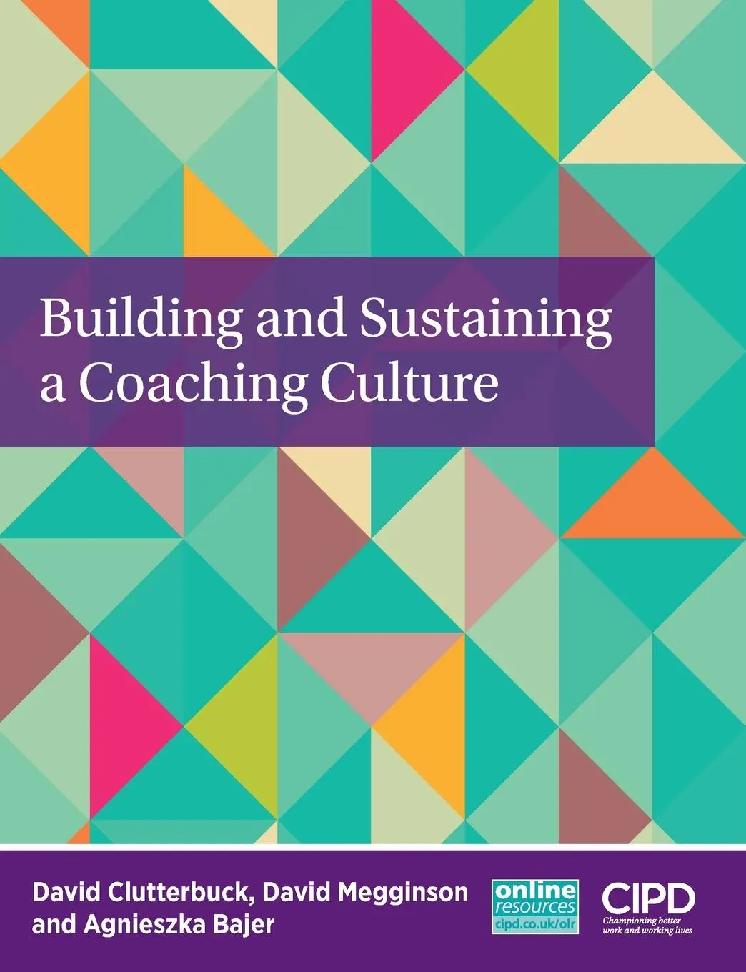 Cover: 9781843983767 | Building and Sustaining a Coaching Culture | David Clutterbuck (u. a.)