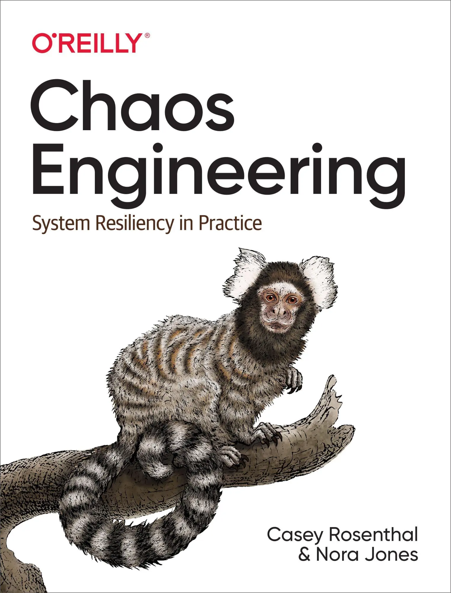 Cover: 9781492043867 | Chaos Engineering | System Resiliency in Practice | Rosenthal (u. a.) Cover: 9781492043867 | Chaos Engineering | System Resiliency in Practice | Rosenthal (u. a.)