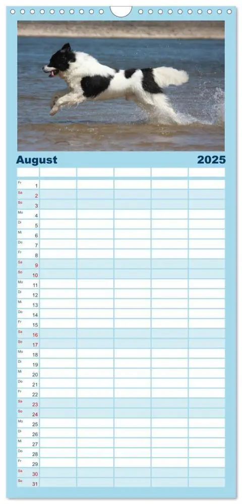 Bild: 9783457113967 | Familienplaner 2025 - Landseer - Das Wasser ist ihr Element mit 5...