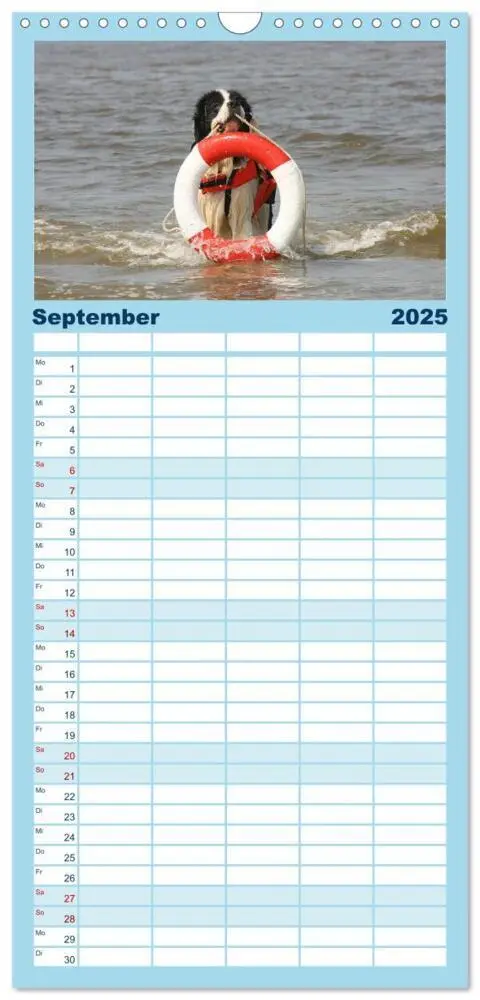 Bild: 9783457113967 | Familienplaner 2025 - Landseer - Das Wasser ist ihr Element mit 5...