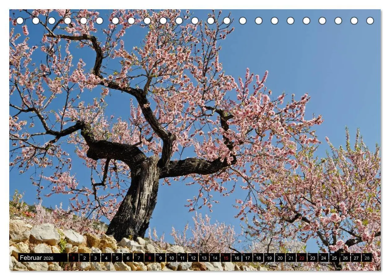 Bild: 9783516203967 | Costa Blanca - Spaniens weiße Küste (Tischkalender 2026 DIN A5...