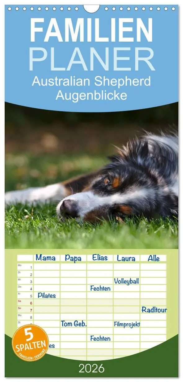 Cover: 9783516513967 | Familienplaner 2026 - Australian Shepherd - Augenblicke mit 5...