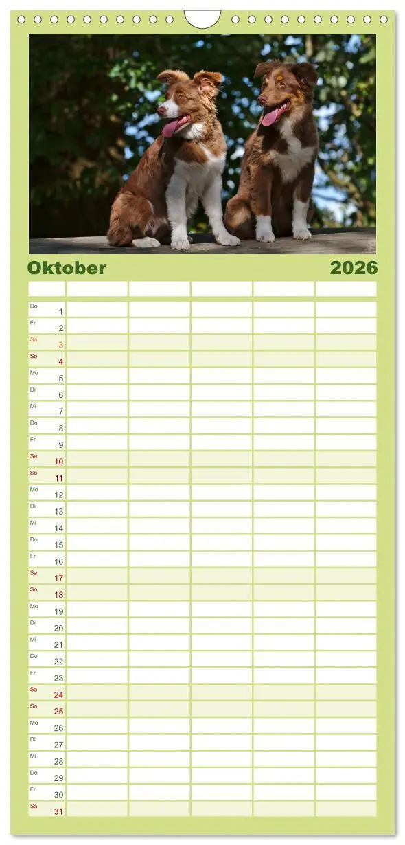Bild: 9783516513967 | Familienplaner 2026 - Australian Shepherd - Augenblicke mit 5...