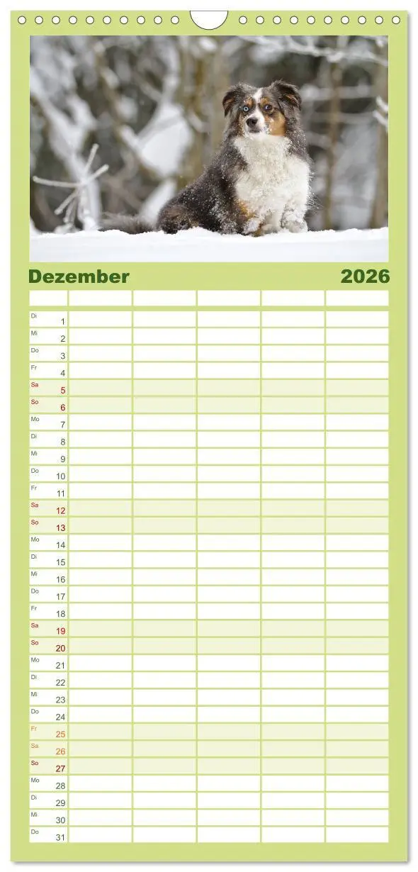 Bild: 9783516513967 | Familienplaner 2026 - Australian Shepherd - Augenblicke mit 5...