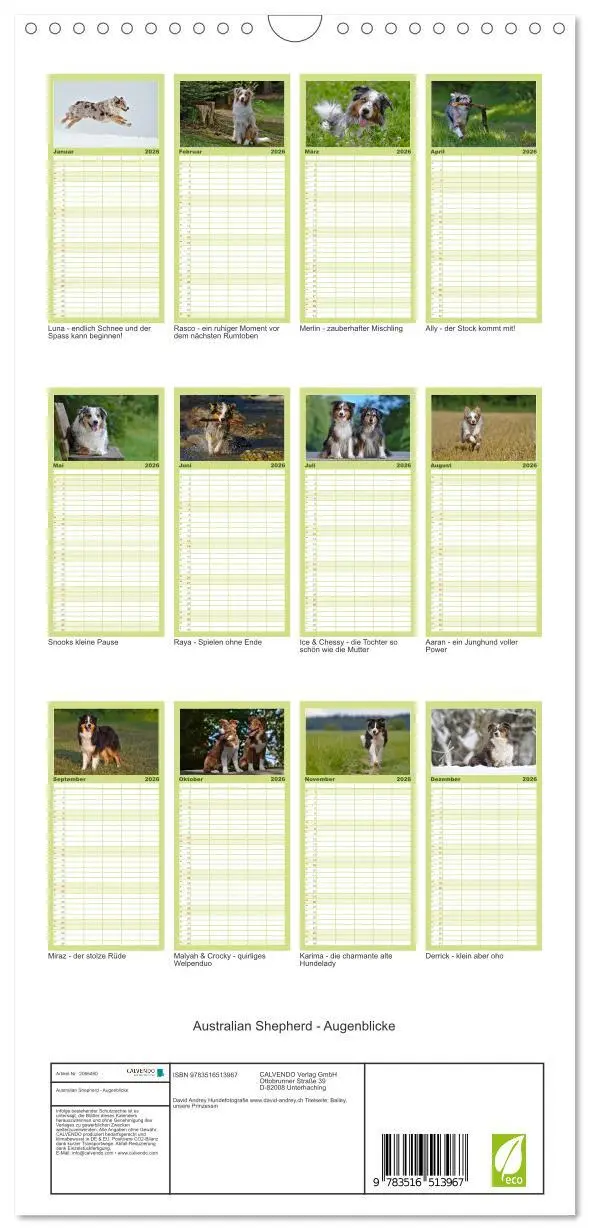 Bild: 9783516513967 | Familienplaner 2026 - Australian Shepherd - Augenblicke mit 5...
