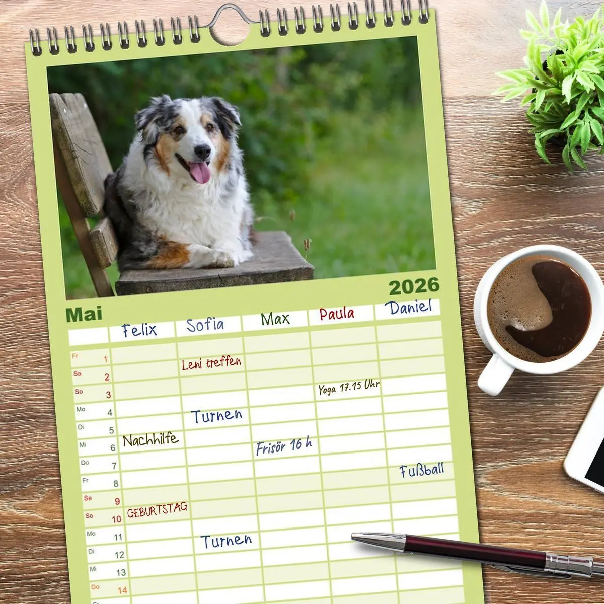 Bild: 9783516513967 | Familienplaner 2026 - Australian Shepherd - Augenblicke mit 5...