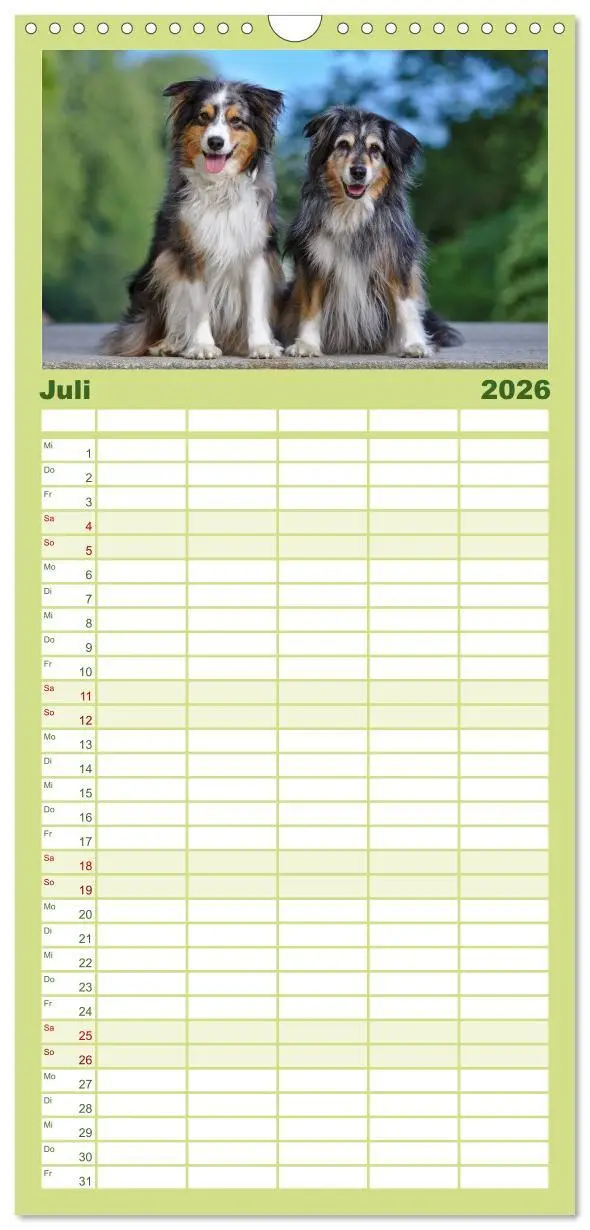Bild: 9783516513967 | Familienplaner 2026 - Australian Shepherd - Augenblicke mit 5...