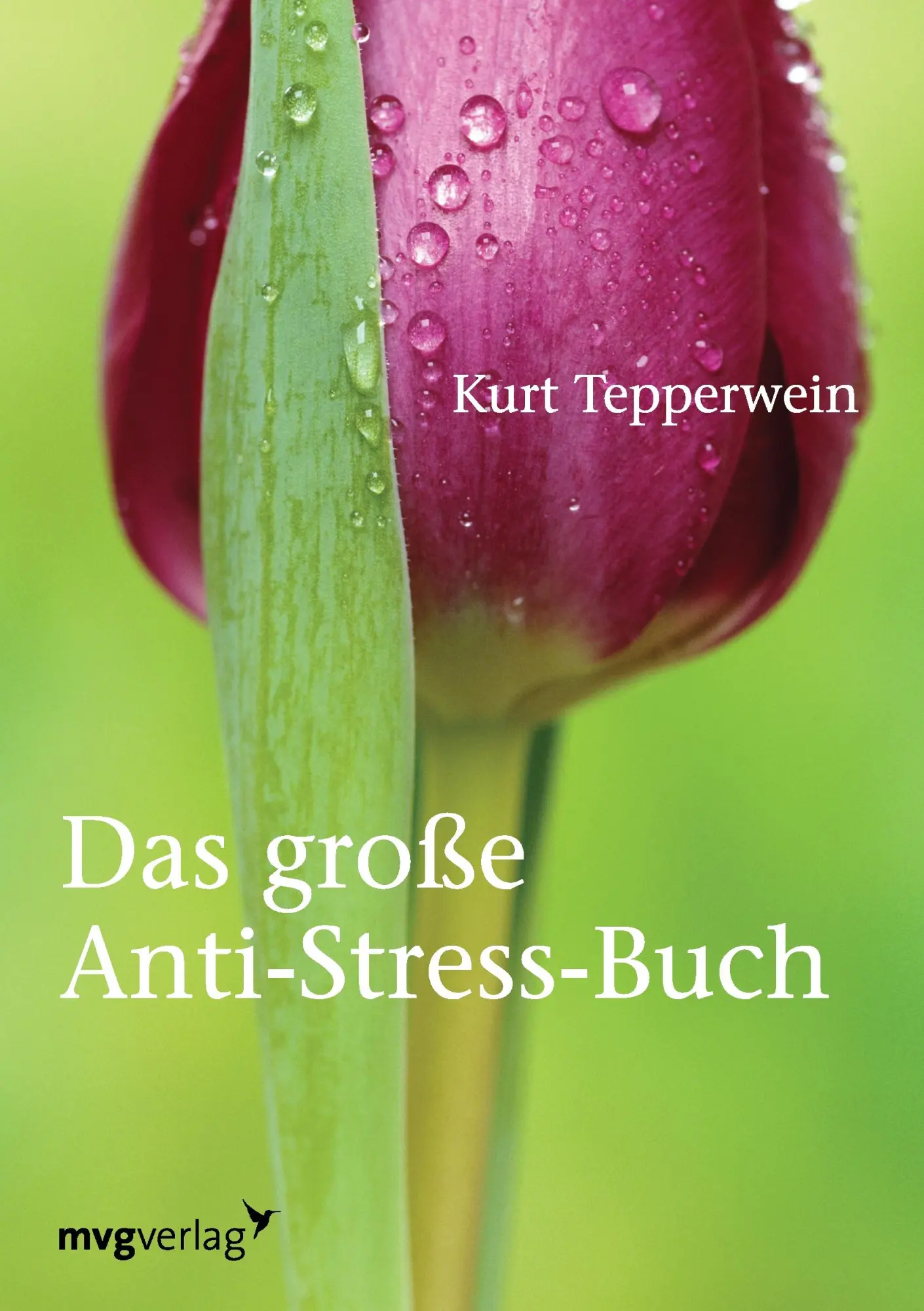 Cover: 9783868823967 | Das große Anti-Stress-Buch | Kurt Tepperwein | Taschenbuch | Deutsch