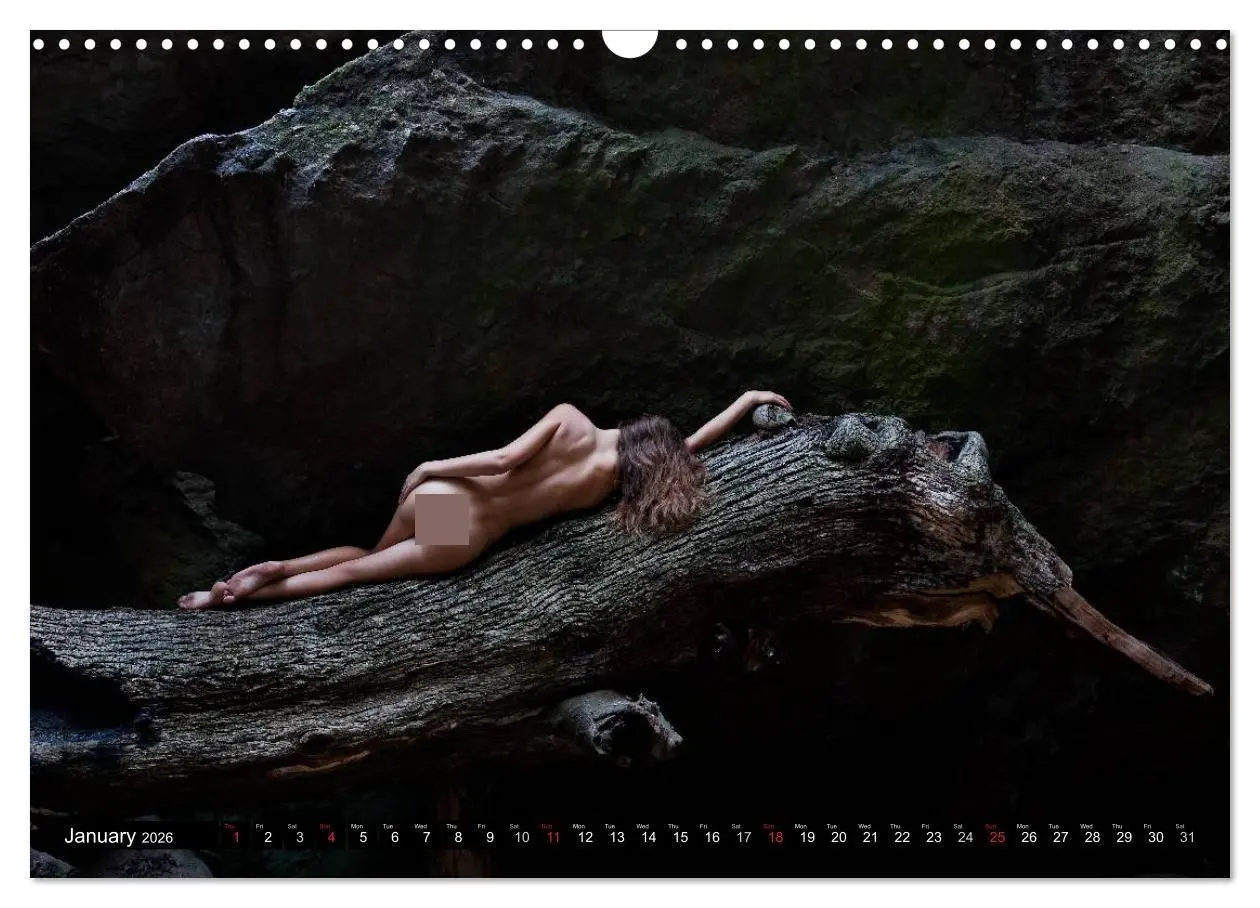 Bild: 9783516574067 | Cote d'Azur Landscapes and Nudes (Wall Calendar 2026 DIN A3...