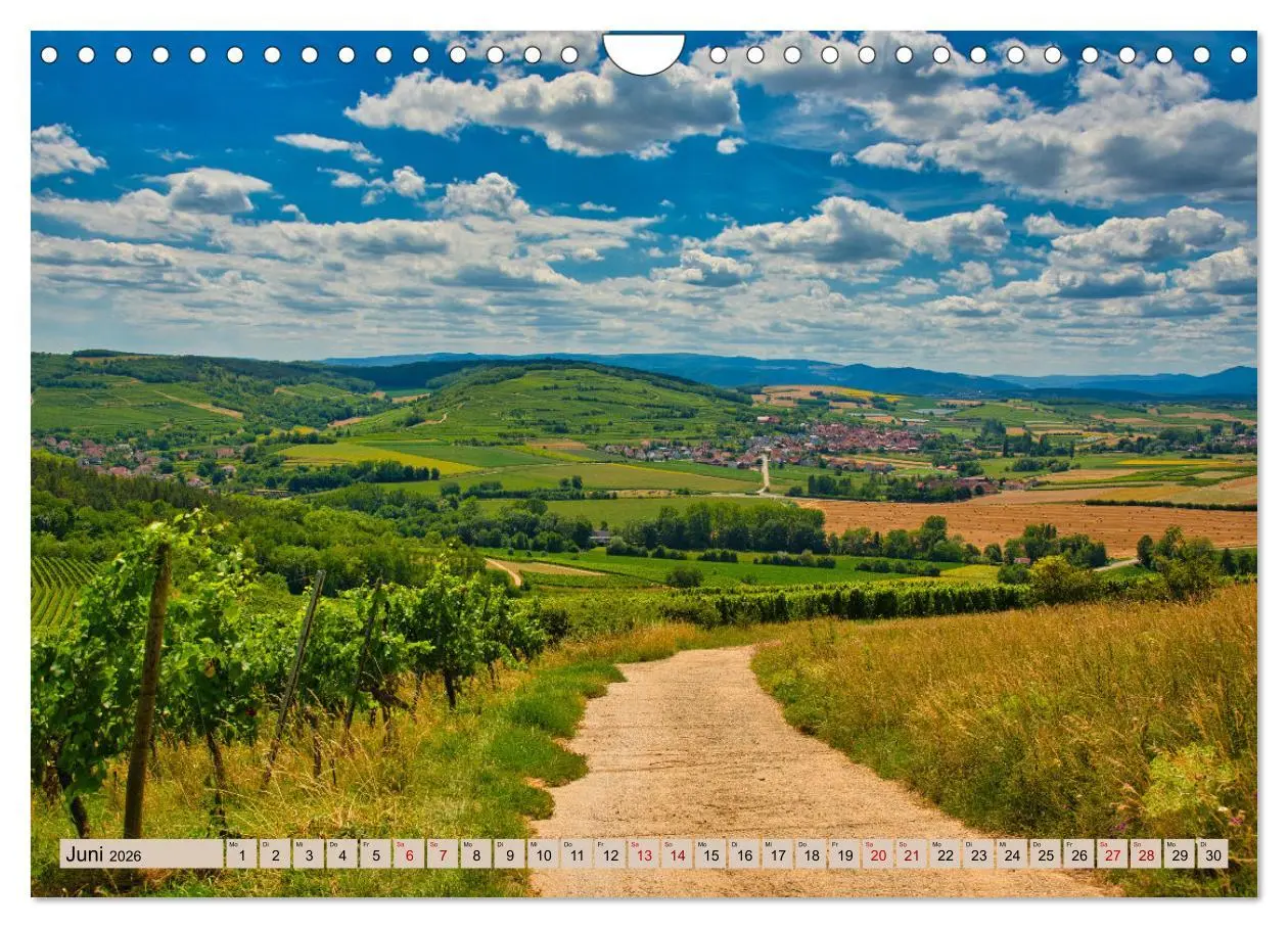 Bild: 9783457854167 | Vogesen - wunderschön (Wandkalender 2026 DIN A4 quer), CALVENDO...