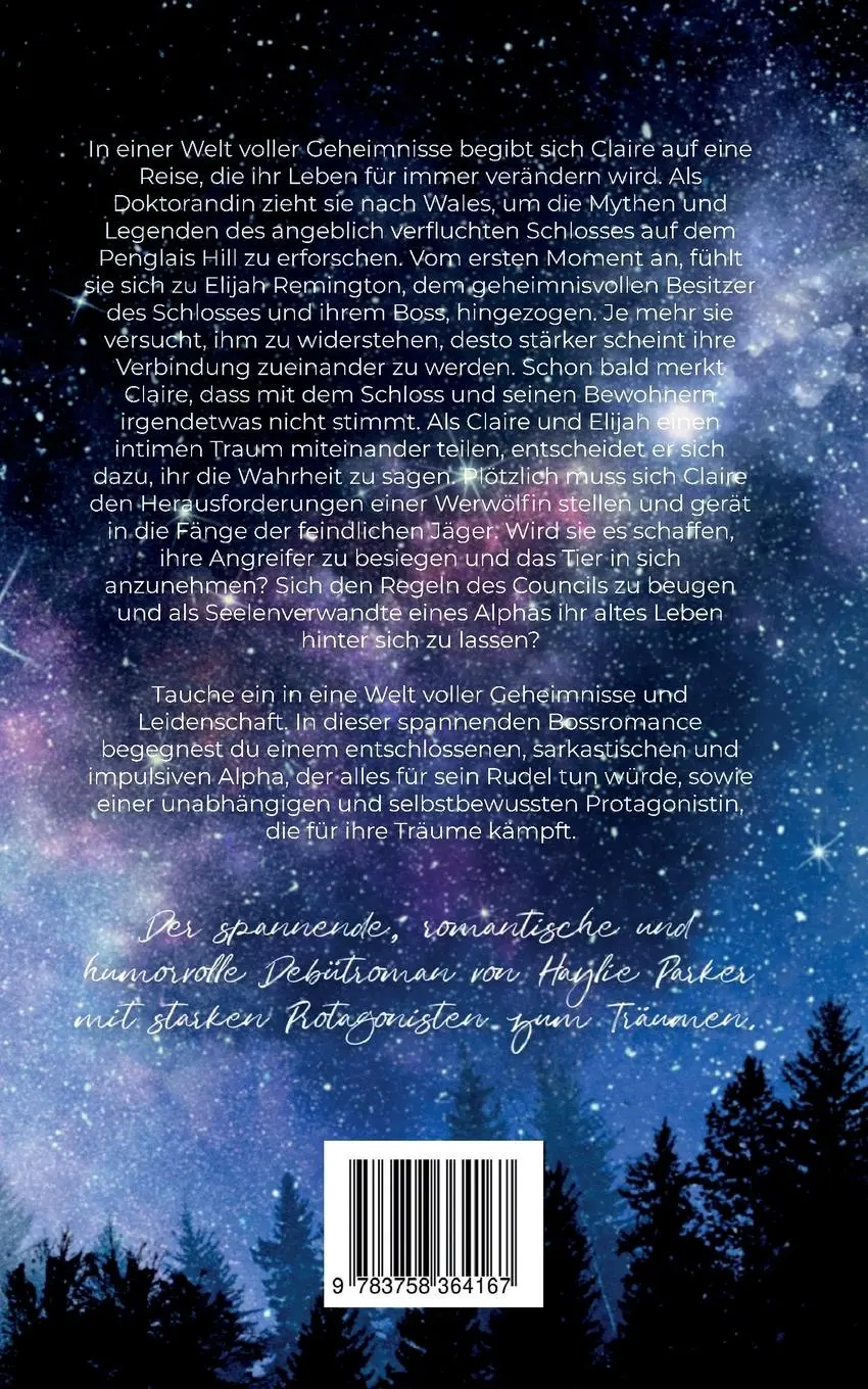 Rückseite: 9783758364167 | Das Geheimnis des Penglais Hill | Haylie Parker | Taschenbuch | 300 S.