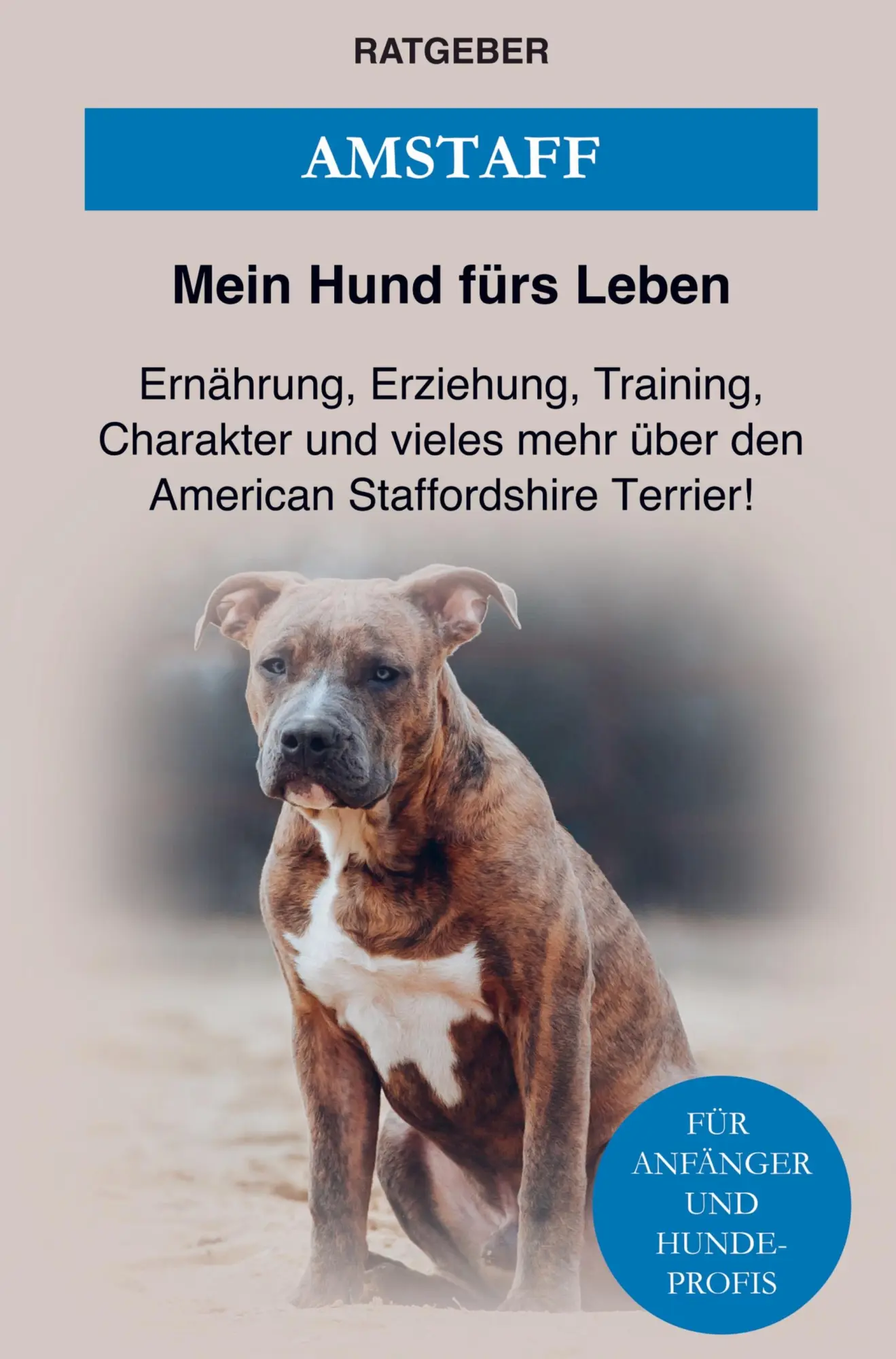 Cover: 9789403624167 | American Staffordshire Terrier | Mein Hund fürs Leben Ratgeber | Buch
