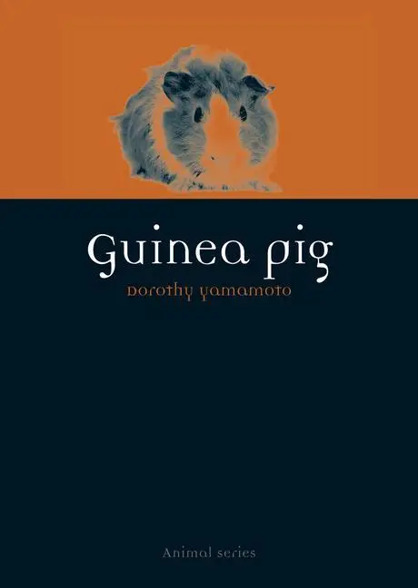 Cover: 9781780234267 | Guinea Pig | Dorothy Yamamoto | Taschenbuch | Kartoniert / Broschiert