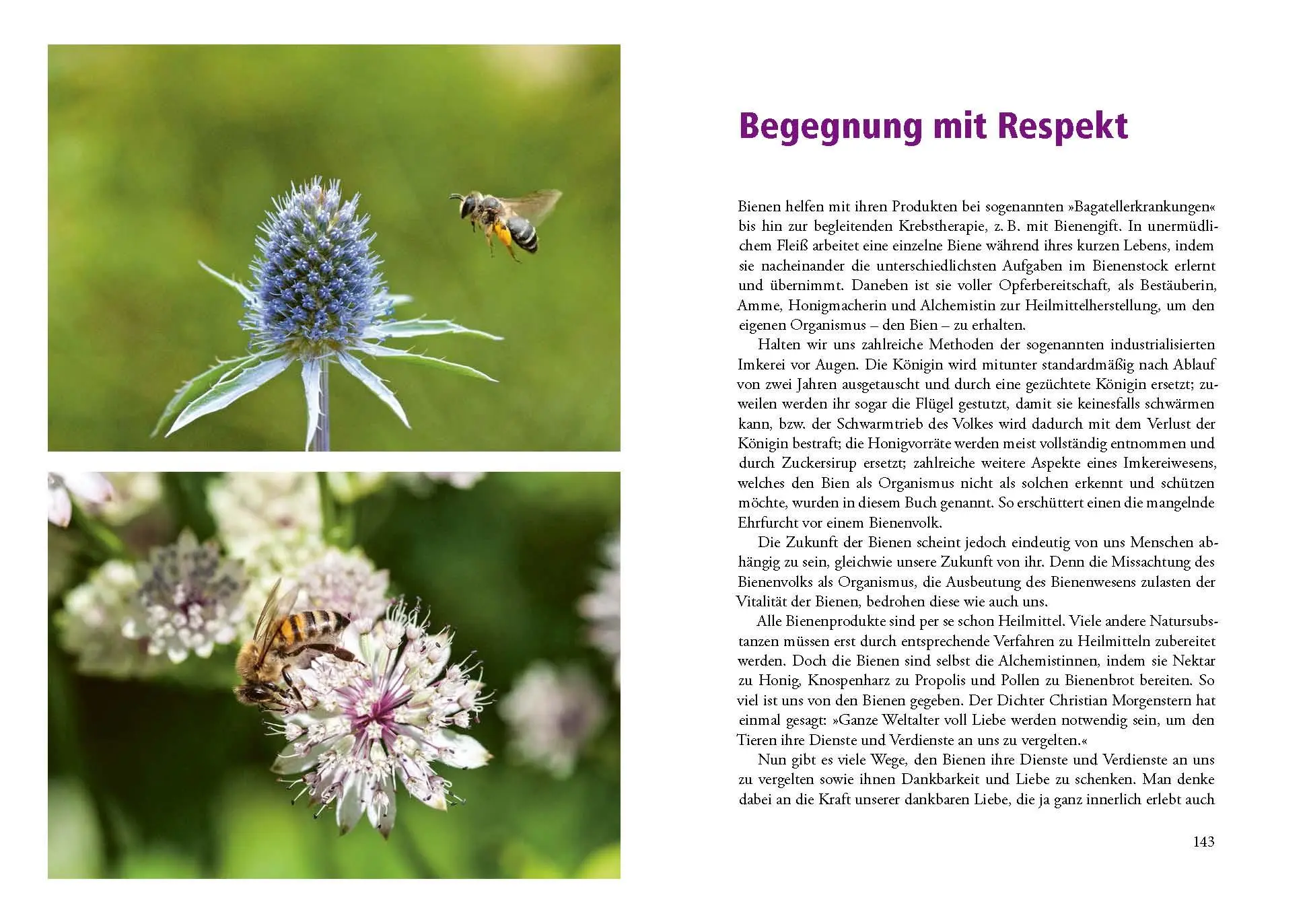 Bild: 9783895664267 | Heilkraft aus dem Bienenstock | Almut Tobis (u. a.) | Buch | 160 S.