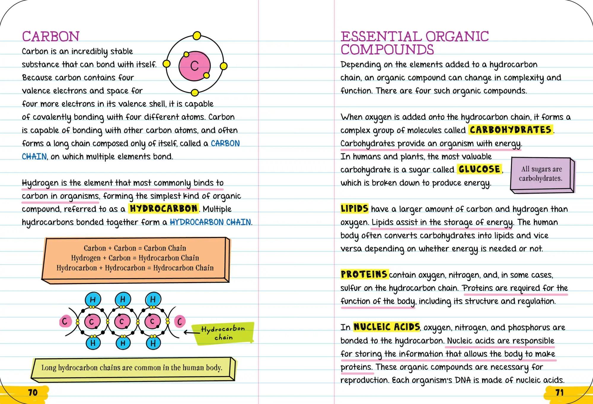Bild: 9781523504367 | Everything You Need to Ace Biology in One Big Fat Notebook | Buch