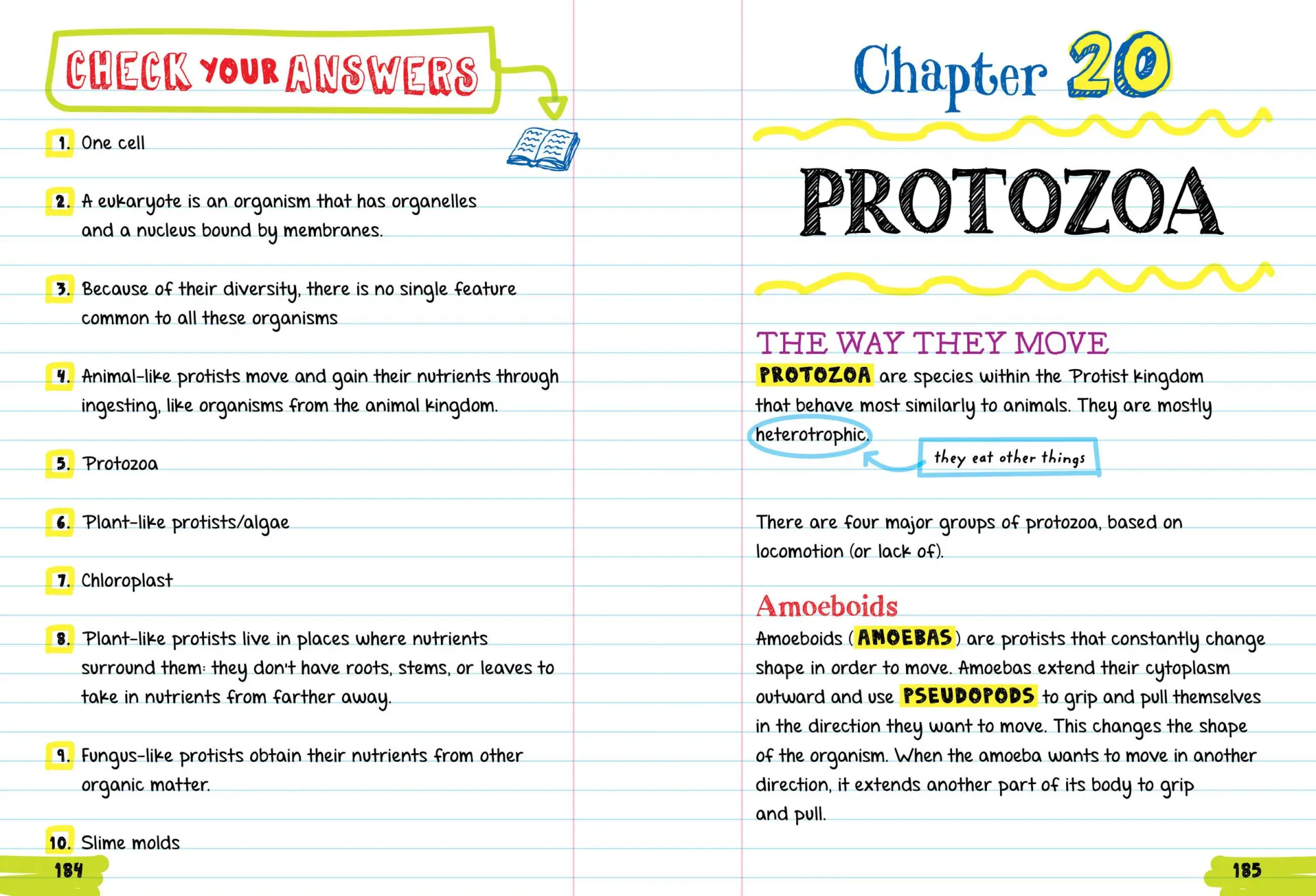 Bild: 9781523504367 | Everything You Need to Ace Biology in One Big Fat Notebook | Buch