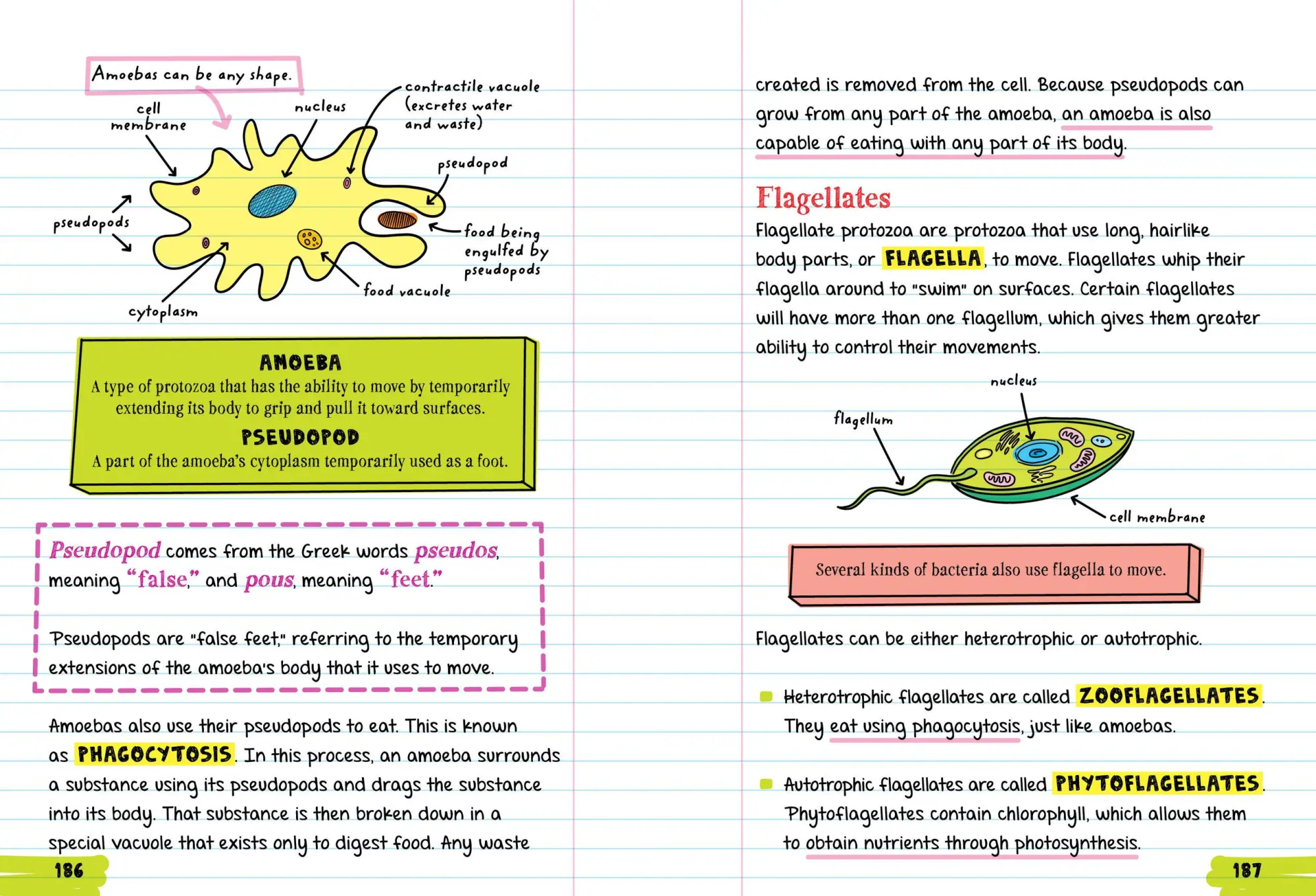 Bild: 9781523504367 | Everything You Need to Ace Biology in One Big Fat Notebook | Buch