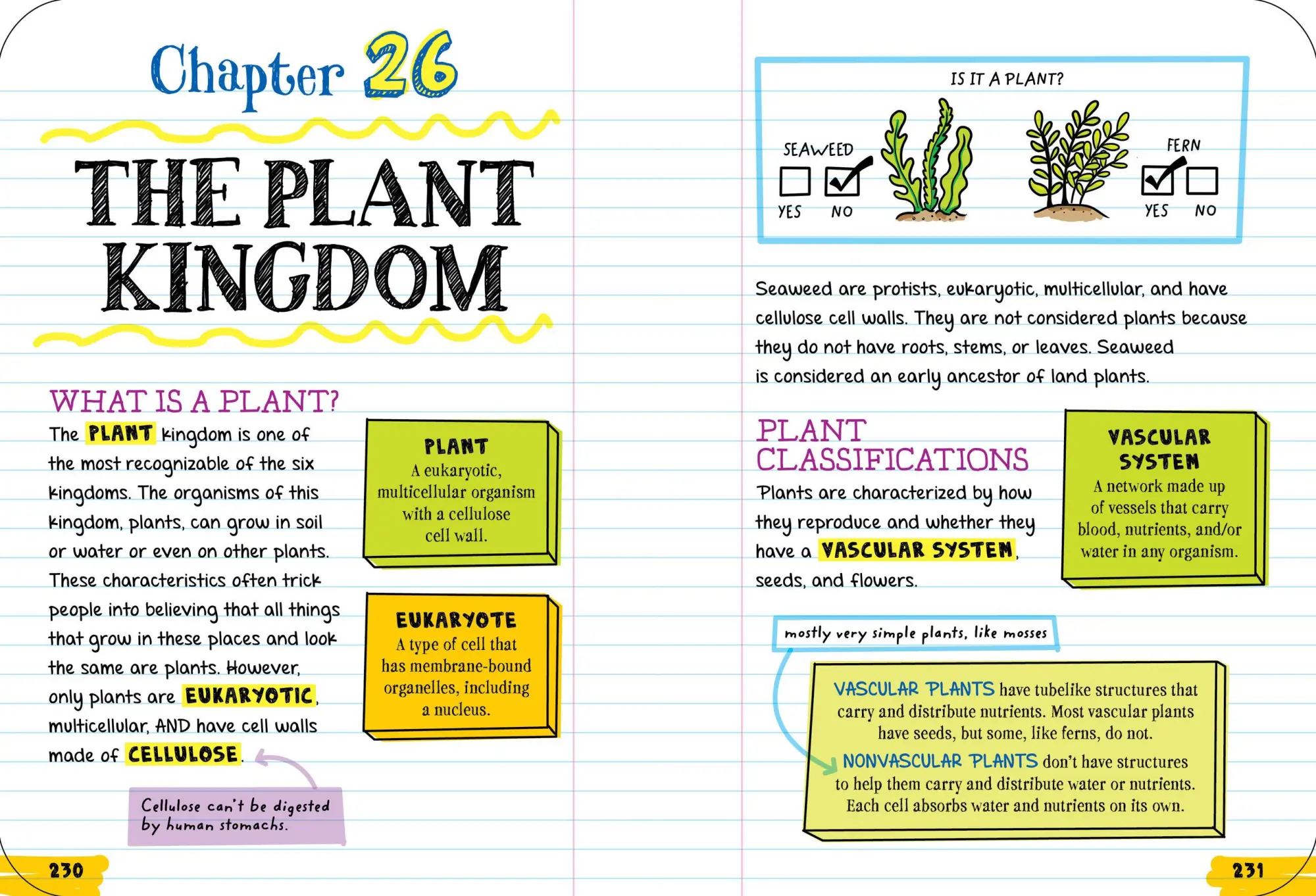 Bild: 9781523504367 | Everything You Need to Ace Biology in One Big Fat Notebook | Buch