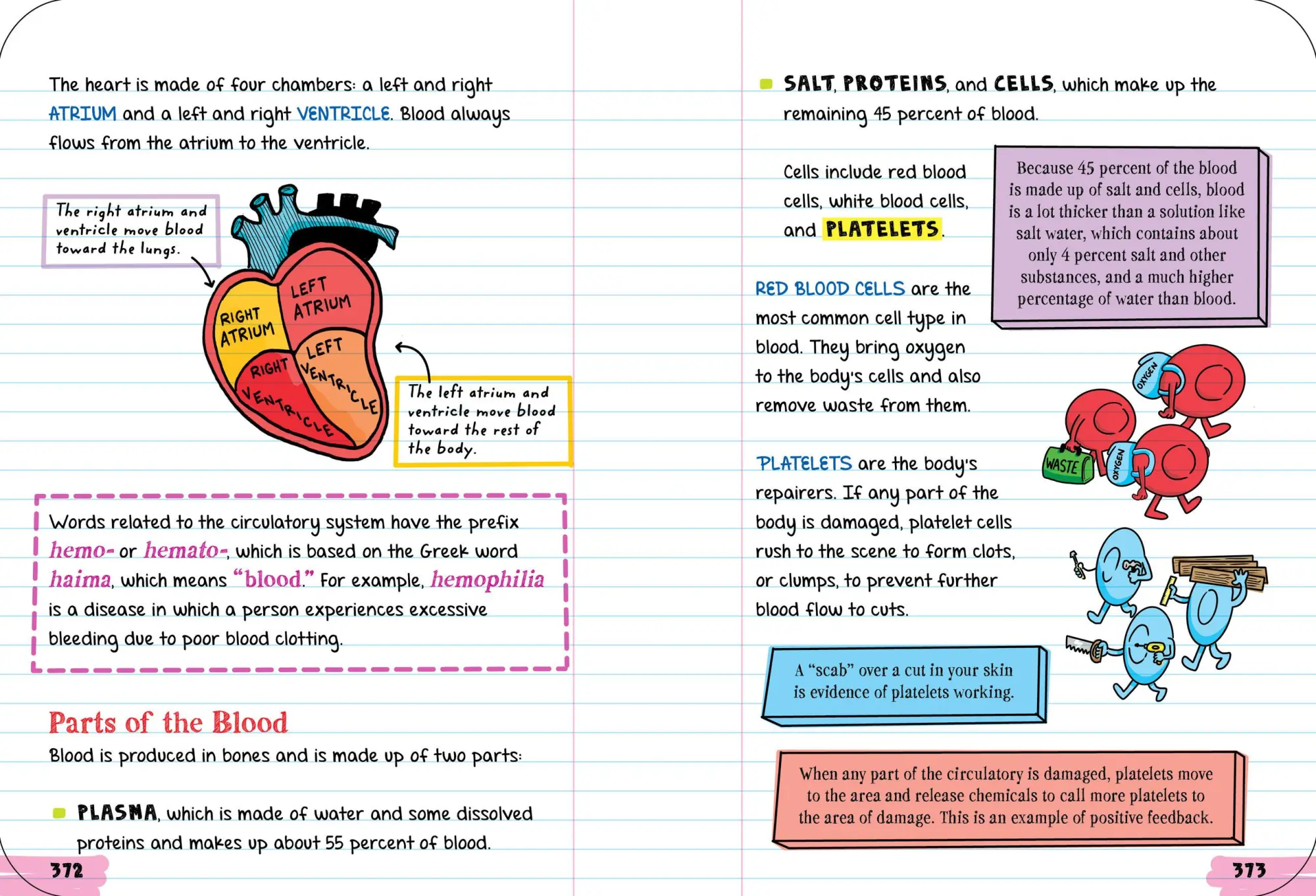 Bild: 9781523504367 | Everything You Need to Ace Biology in One Big Fat Notebook | Buch