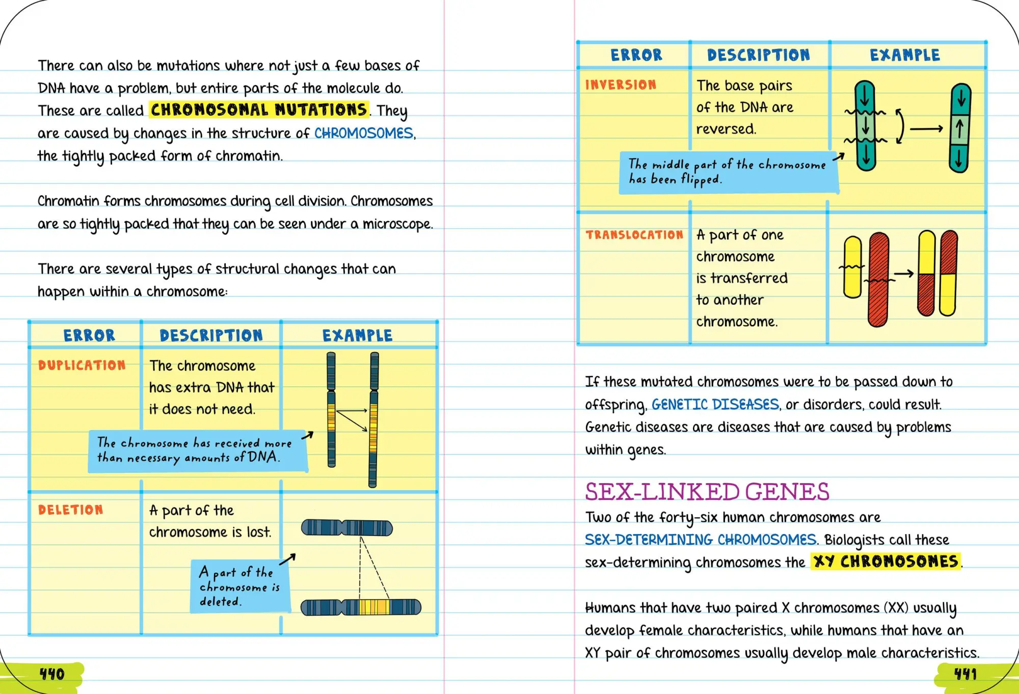 Bild: 9781523504367 | Everything You Need to Ace Biology in One Big Fat Notebook | Buch