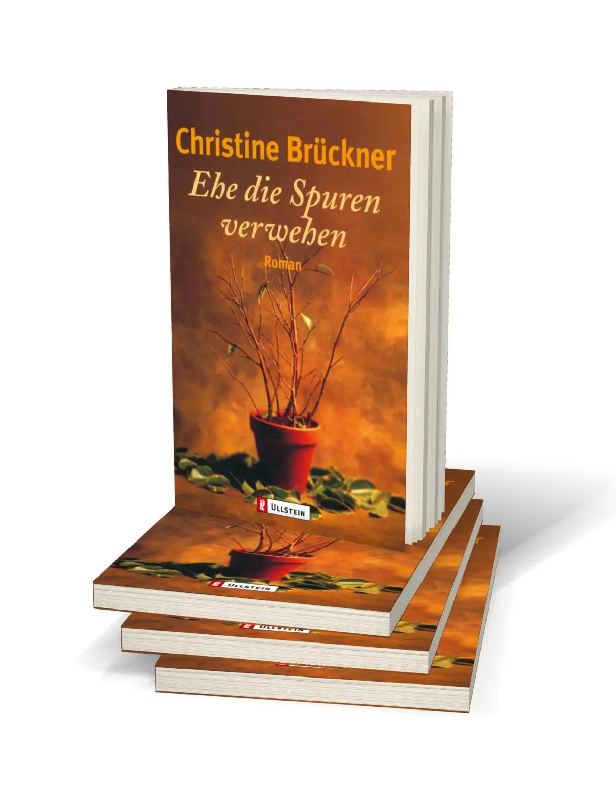 Bild: 9783548224367 | Ehe die Spuren verwehen | Christine Brückner | Taschenbuch | 224 S.