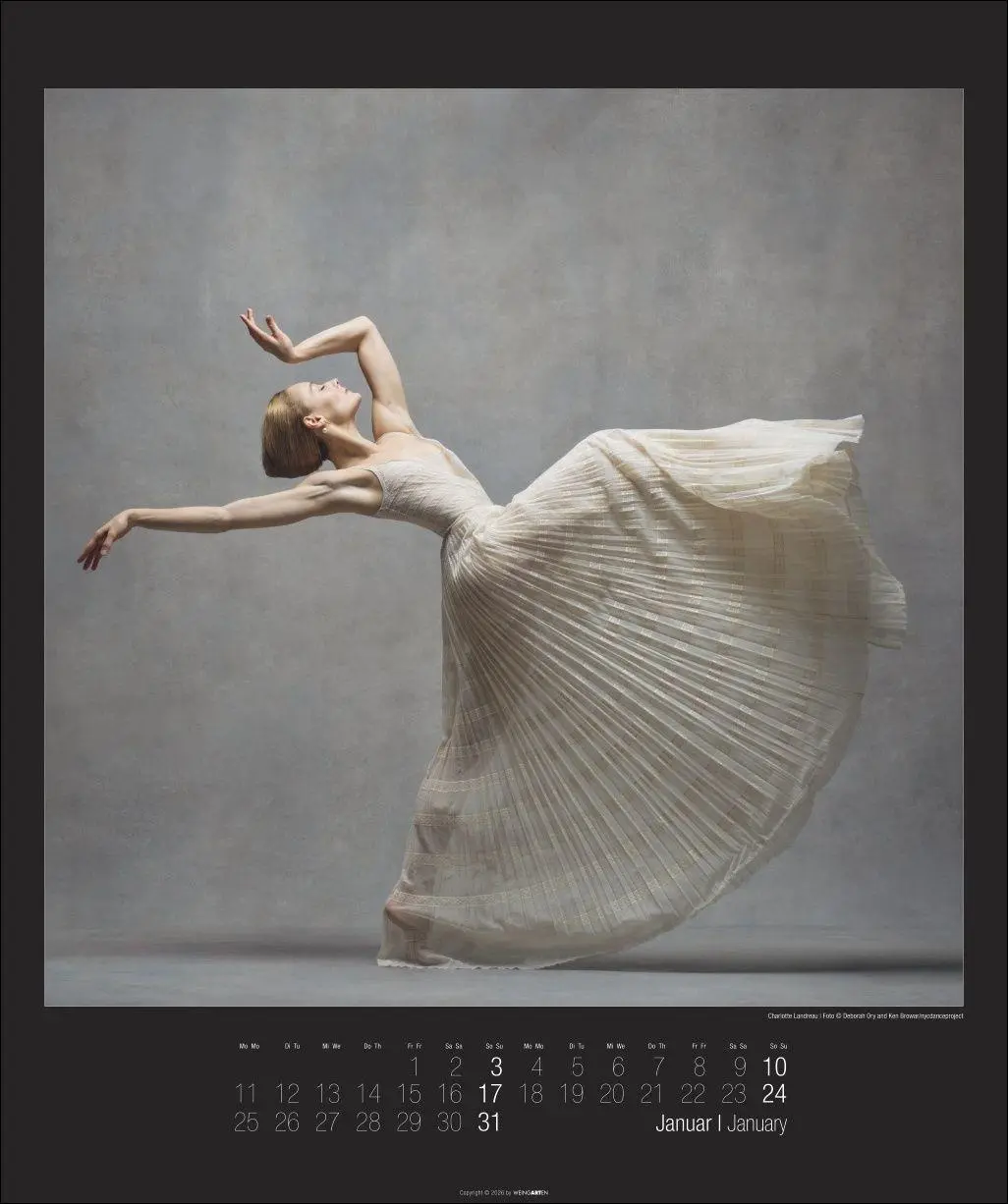 Bild: 9783839904367 | The Art of Movement Kalender 2027 | Ken Browar | Kalender | 14 S.