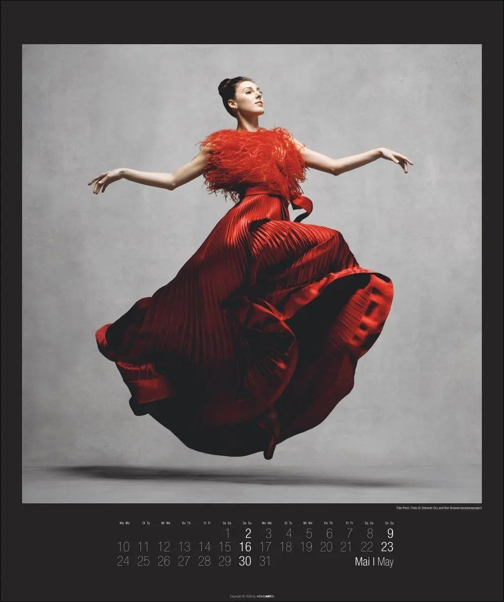 Bild: 9783839904367 | The Art of Movement Kalender 2027 | Ken Browar | Kalender | 14 S.