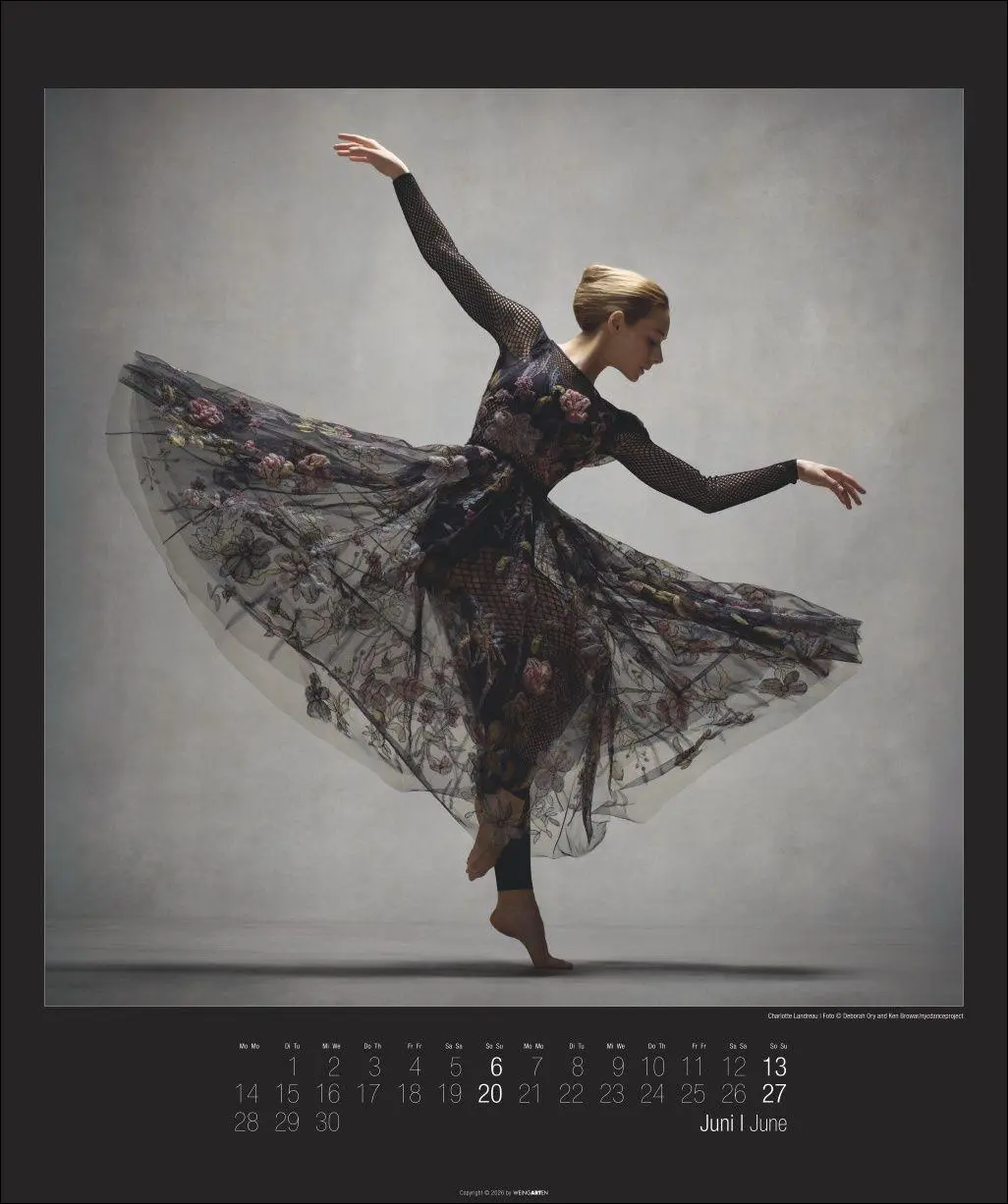 Bild: 9783839904367 | The Art of Movement Kalender 2027 | Ken Browar | Kalender | 14 S.