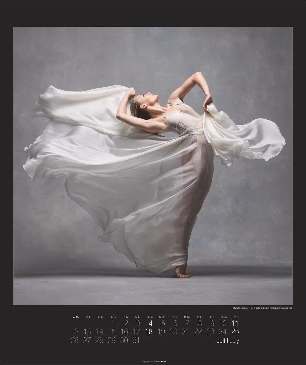 Bild: 9783839904367 | The Art of Movement Kalender 2027 | Ken Browar | Kalender | 14 S.