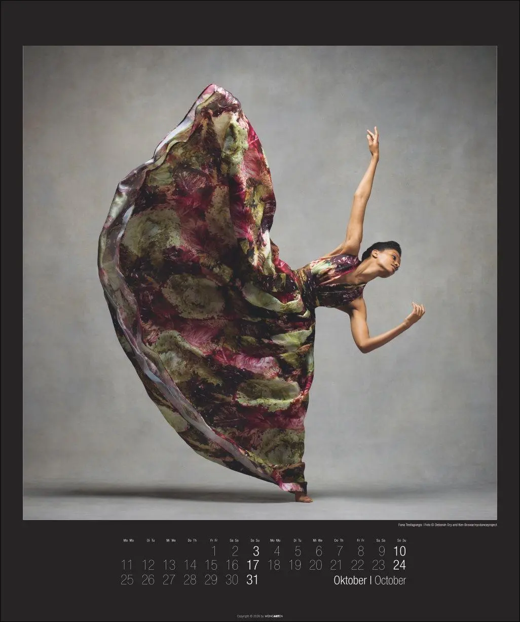 Bild: 9783839904367 | The Art of Movement Kalender 2027 | Ken Browar | Kalender | 14 S.