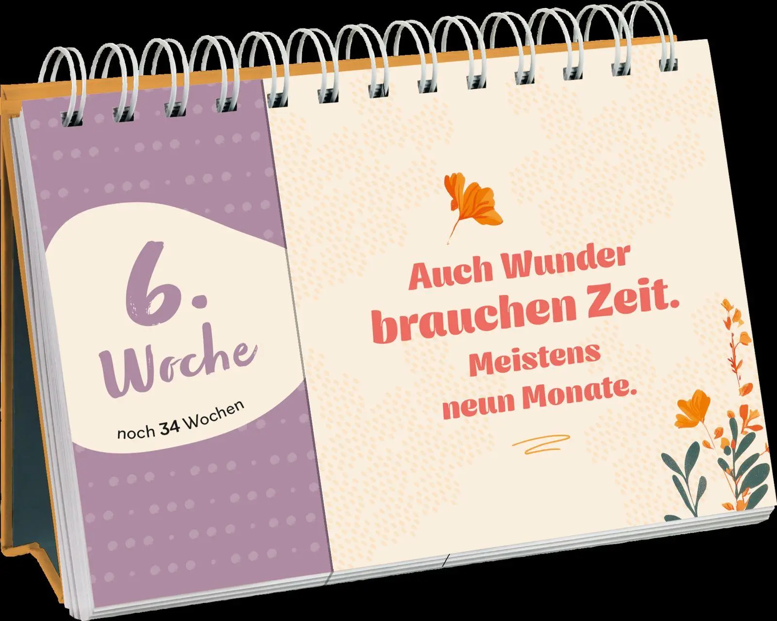 Bild: 9783848504367 | Hurra, bald bist du da | Julia Buck | Taschenbuch | 84 S. | Deutsch