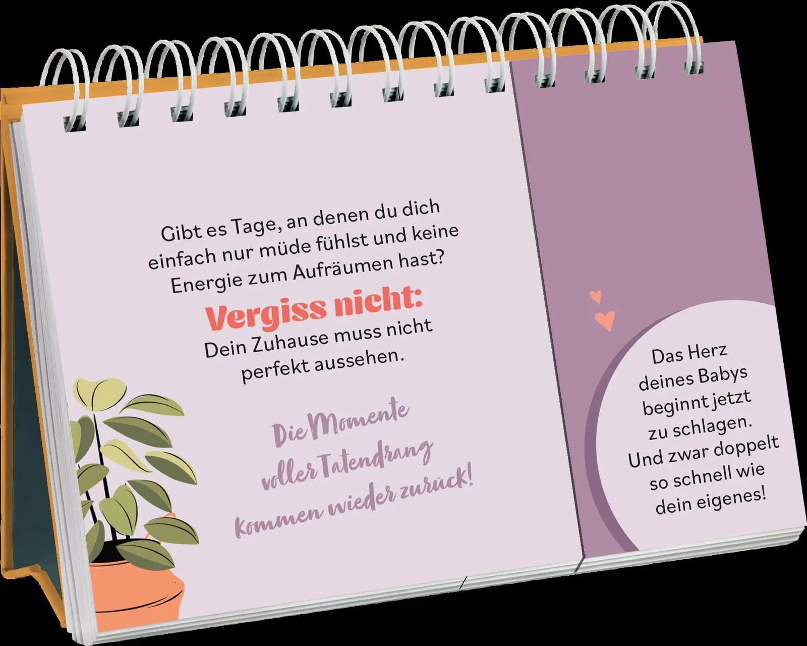 Bild: 9783848504367 | Hurra, bald bist du da | Julia Buck | Taschenbuch | 84 S. | Deutsch