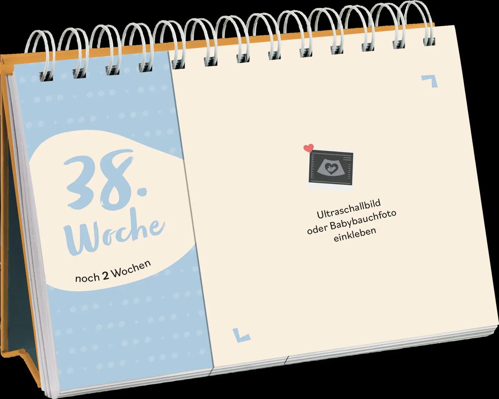 Bild: 9783848504367 | Hurra, bald bist du da | Julia Buck | Taschenbuch | 84 S. | Deutsch