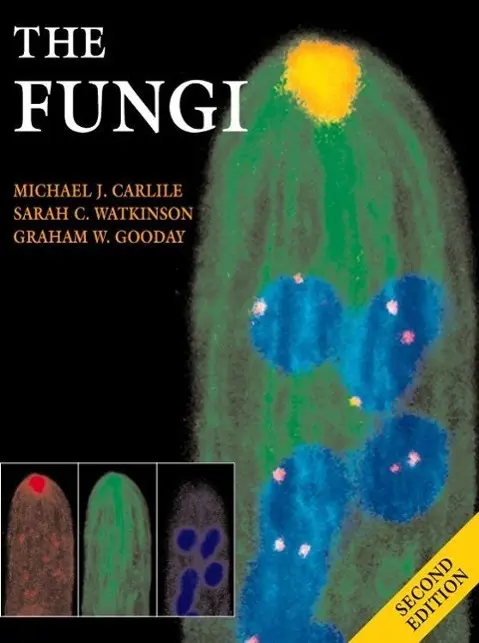 Cover: 9780127384467 | The Fungi | Michael J Carlile (u. a.) | Taschenbuch | Englisch | 2001