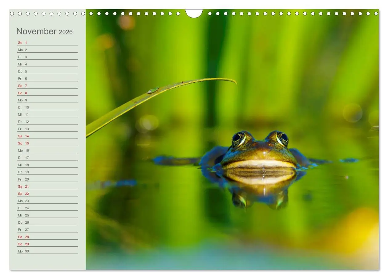 Bild: 9783457684467 | Donaudelta - Tierparadies am Schwarzen Meer (Wandkalender 2026 DIN...