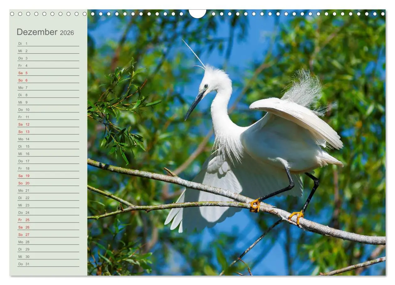 Bild: 9783457684467 | Donaudelta - Tierparadies am Schwarzen Meer (Wandkalender 2026 DIN...